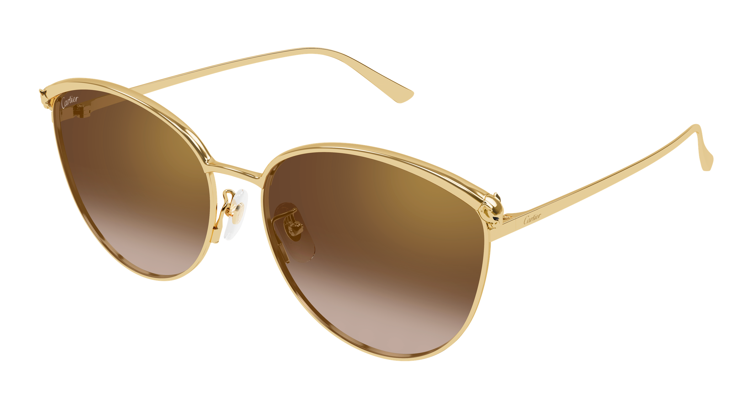 Color_CT0597SA-002 - GOLD - BROWN