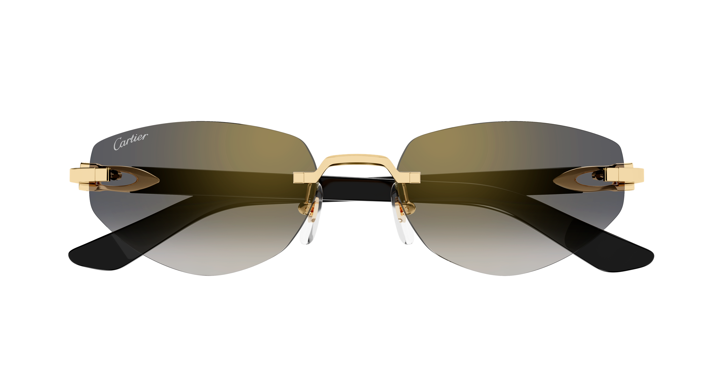 Color_CT0580S-001 - GOLD - GREY