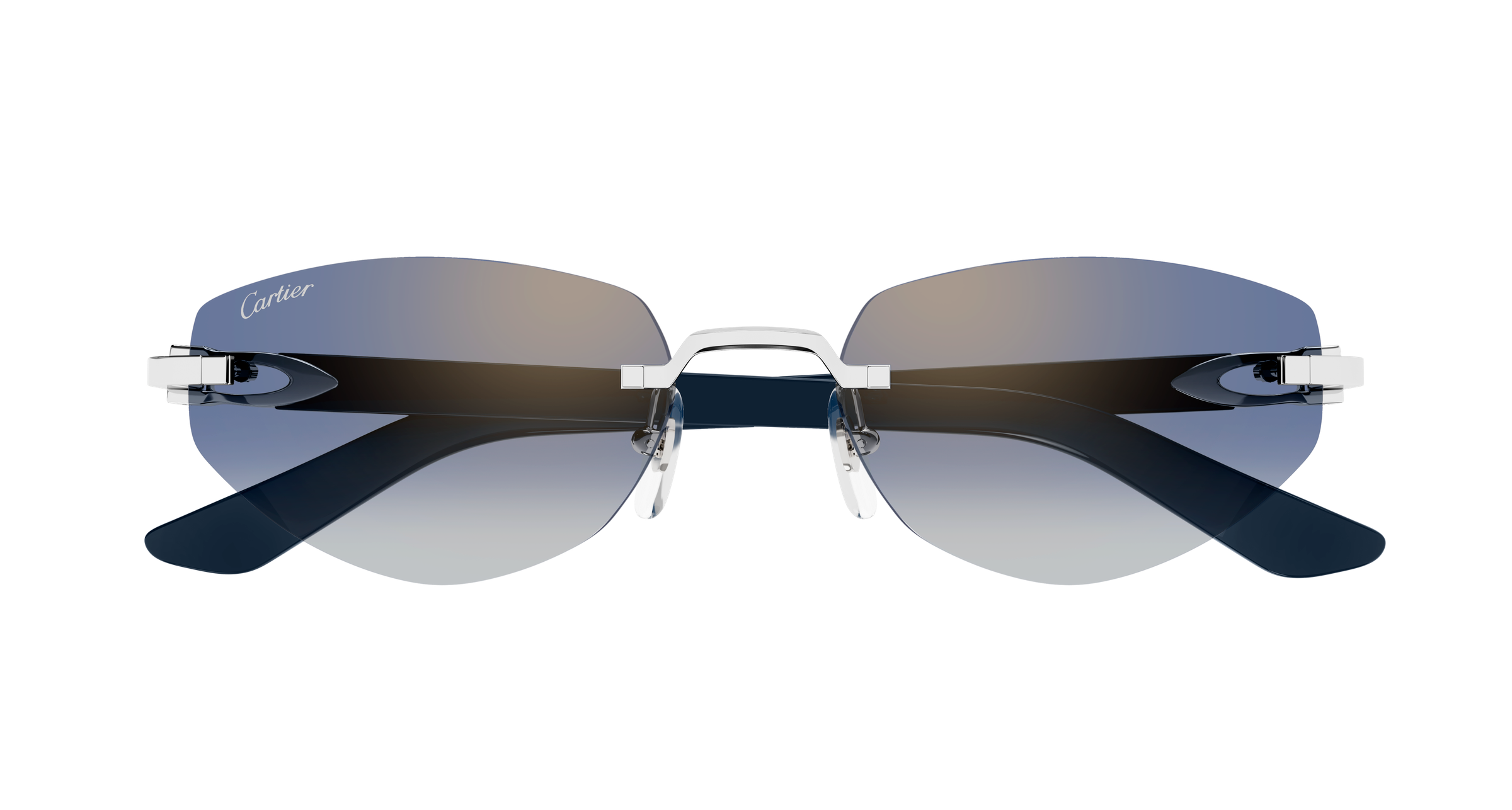 Color_CT0580S-004 - SILVER - BLUE