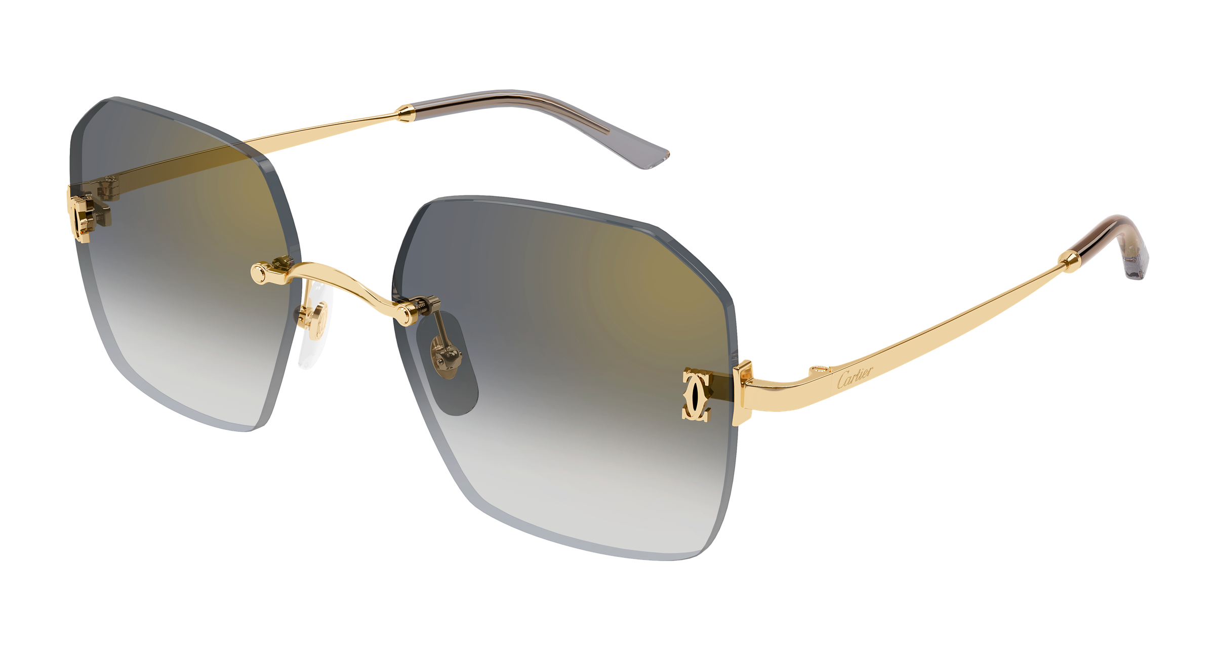 Color_CT0591S-001 - GOLD - GREY