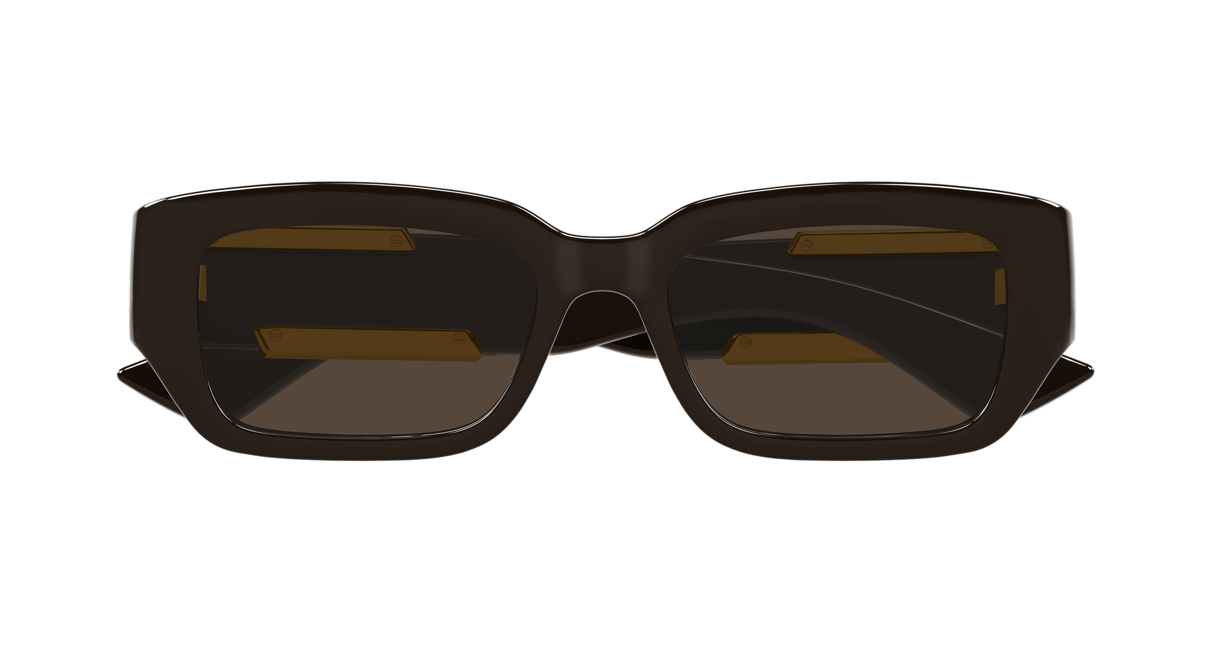 Color_BV1406S-003 - BROWN - BROWN