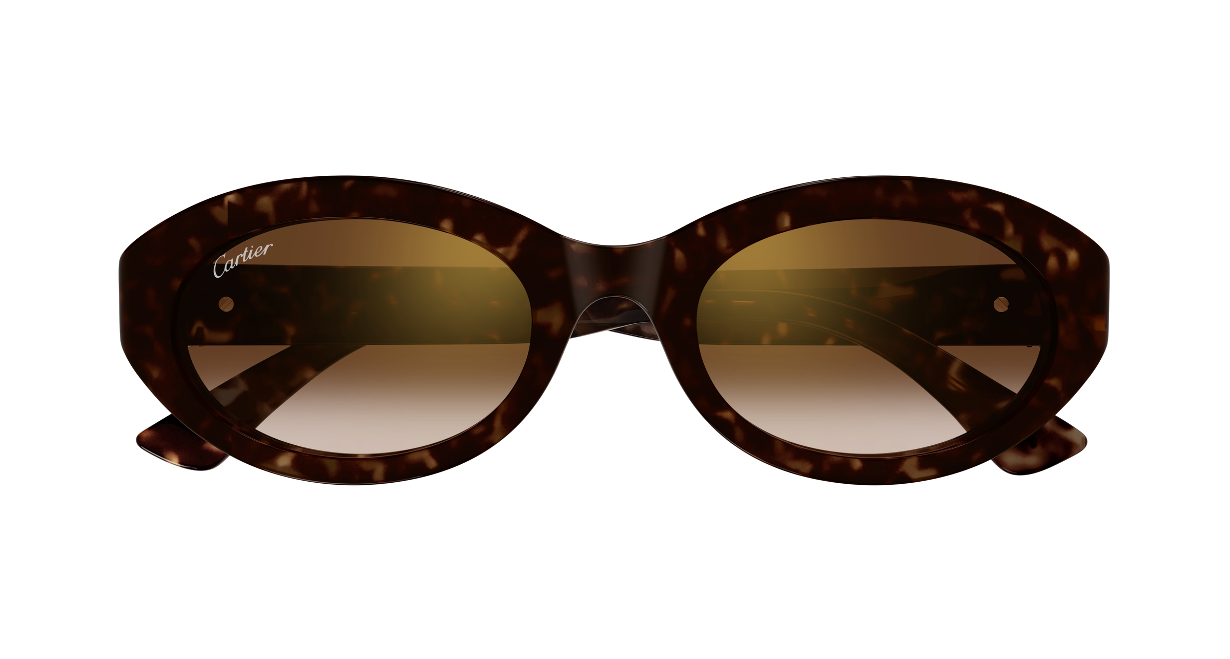 Color_CT0588S-002 - HAVANA - BROWN