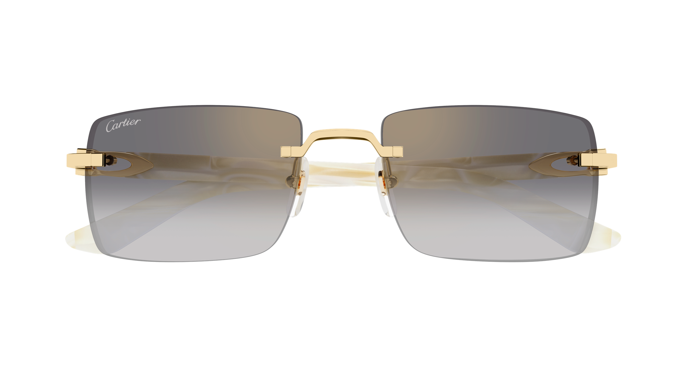 Color_CT0579S-003 - GOLD - GREY - SIZE 55