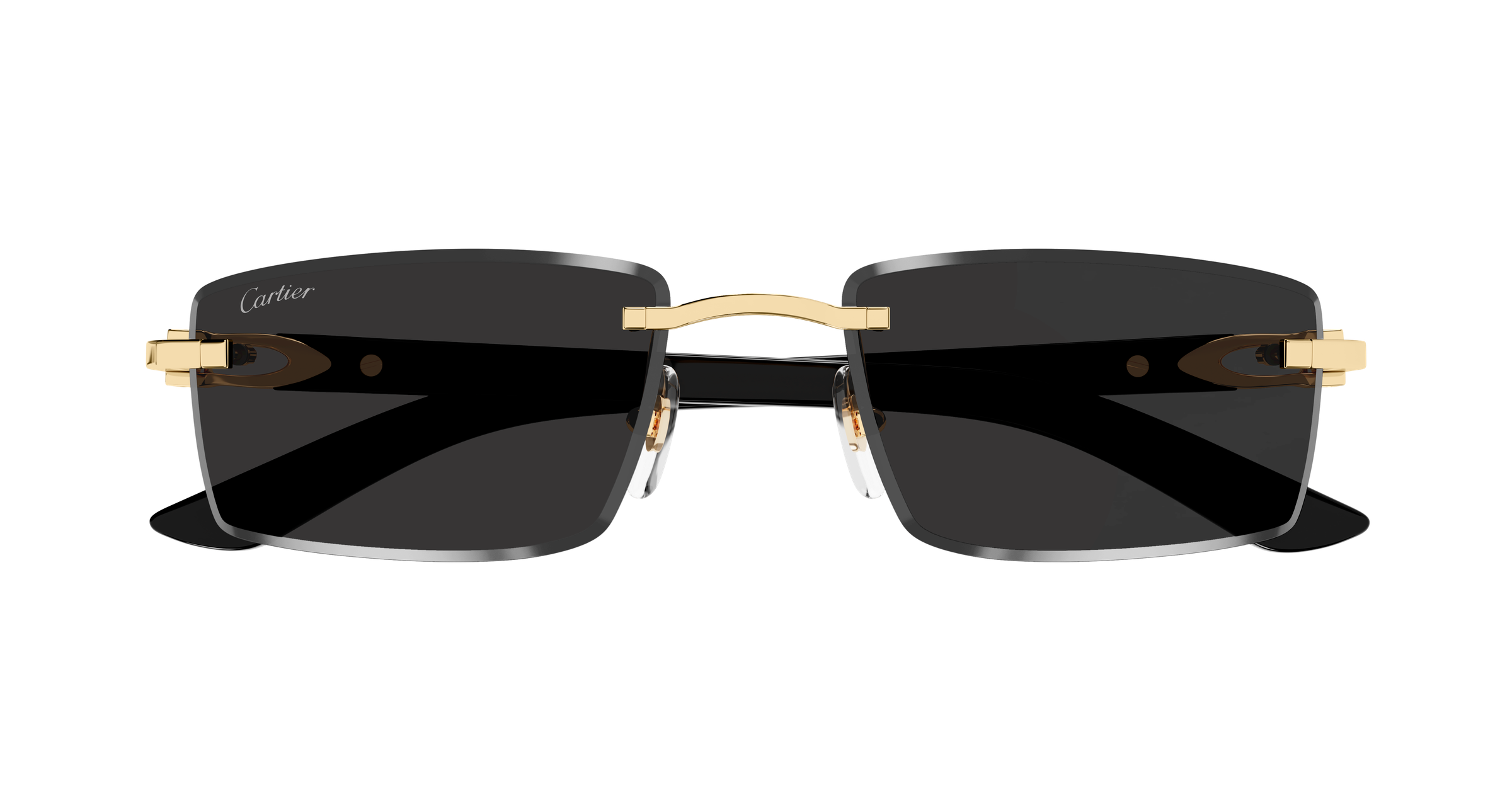 Color_CT0582S-001 - GOLD - GREY