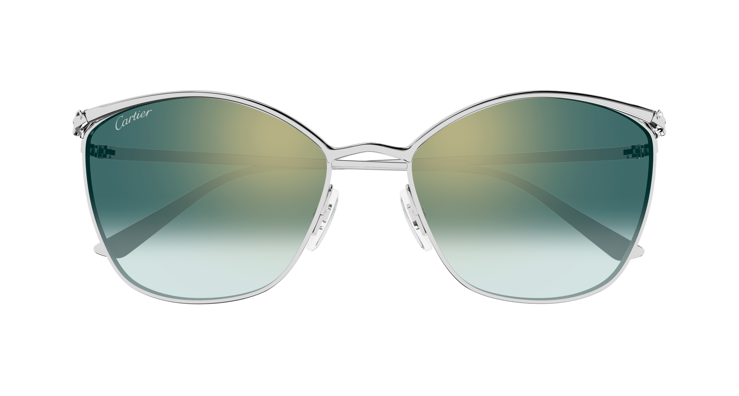 Color_CT0595S-003 - SILVER - GREEN