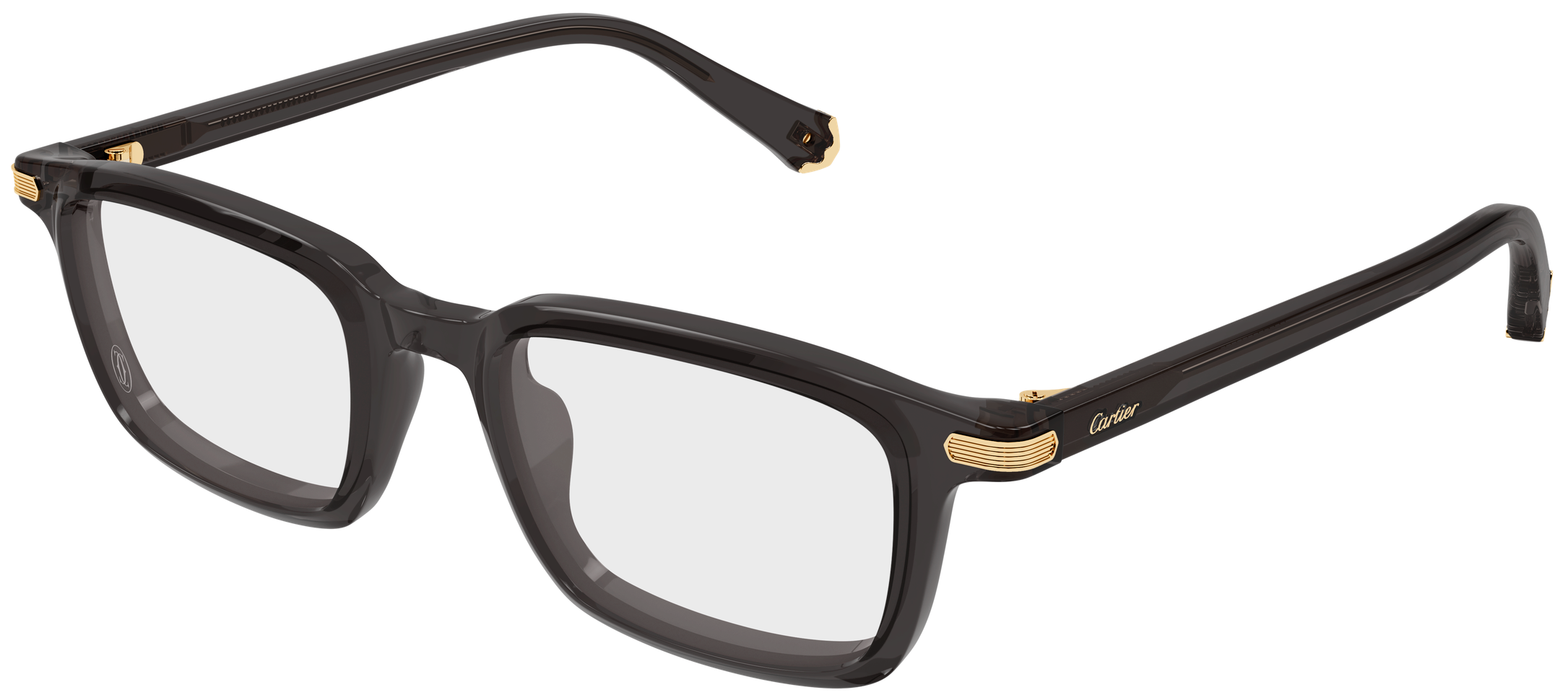 Color_CT0586O-008 - GREY - TRANSPARENT / SIZE: 53mm - 19mm - 145mm