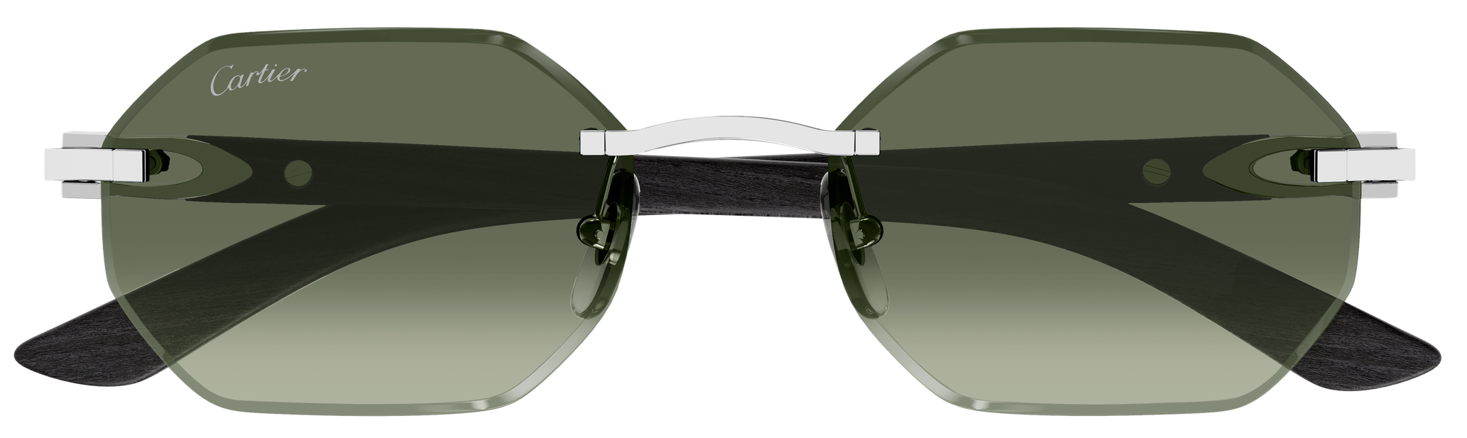 Color_CT0439S-008 - SILVER - GREEN