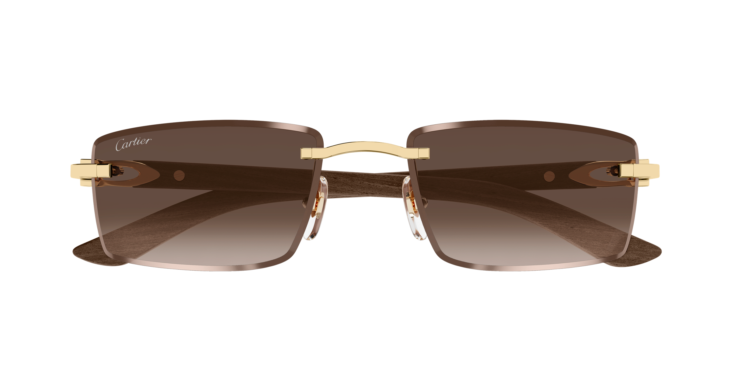 Color_CT0582S-003 - GOLD - BROWN