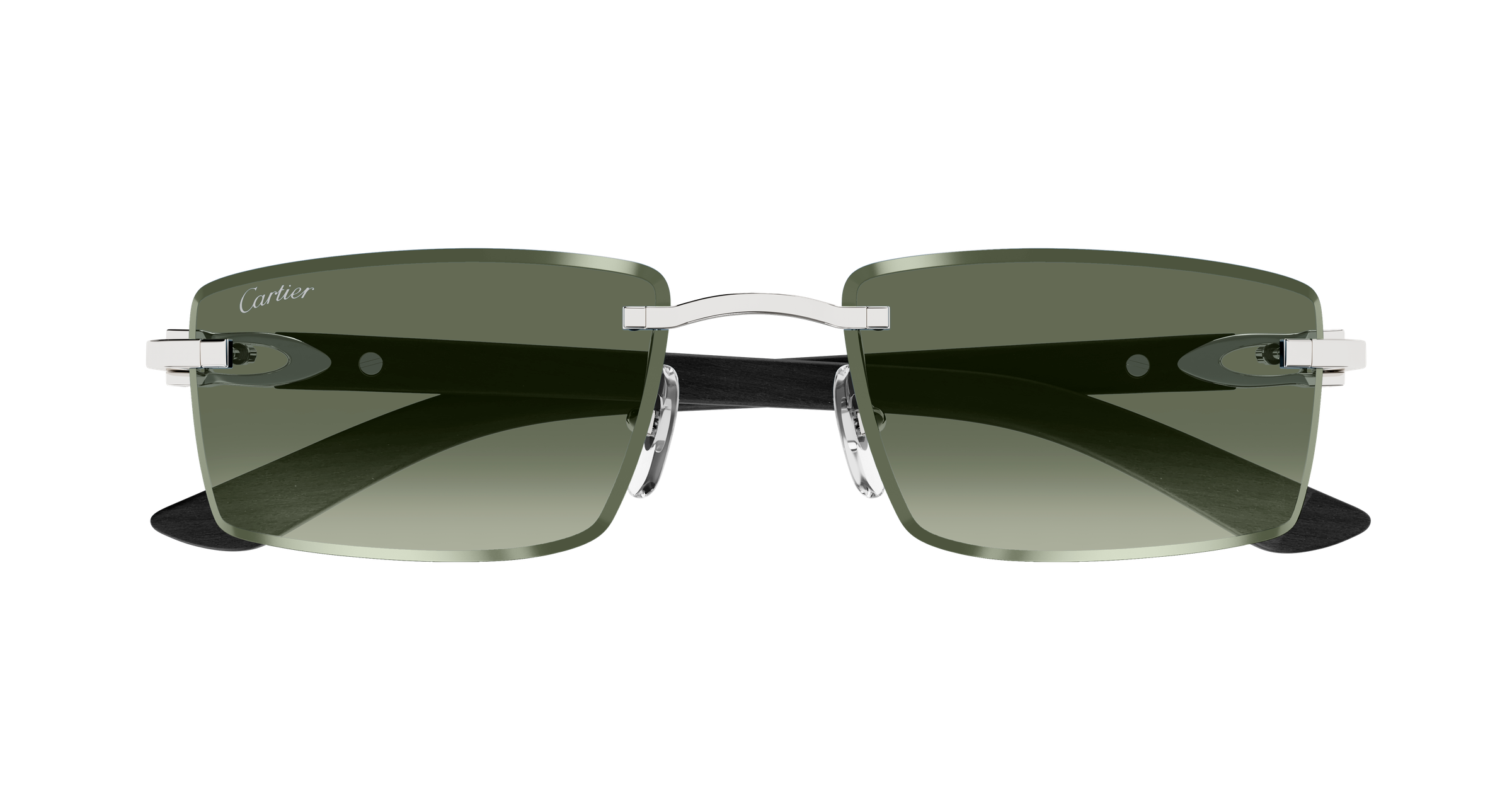 Color_CT0582S-005 - SILVER - GREEN