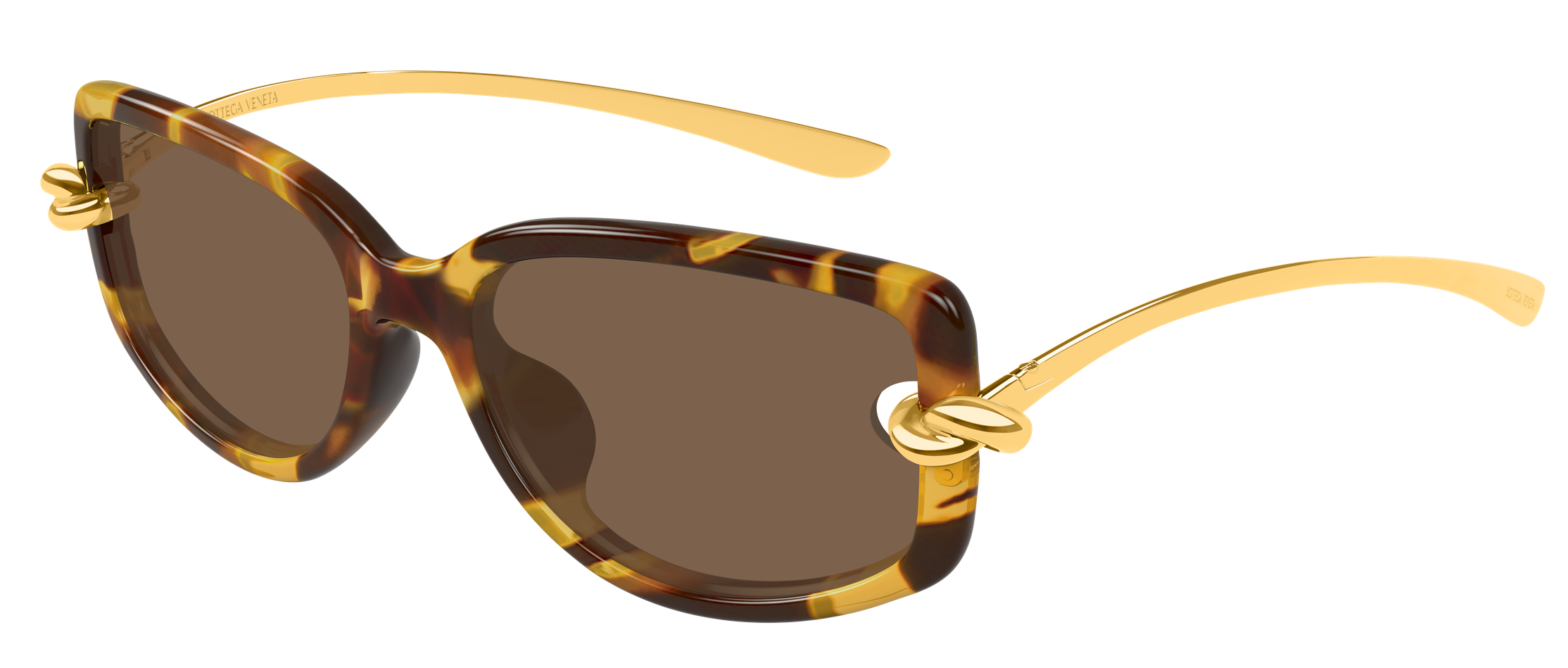 Color_BV1440SA-002 - HAVANA - GOLD - BROWN