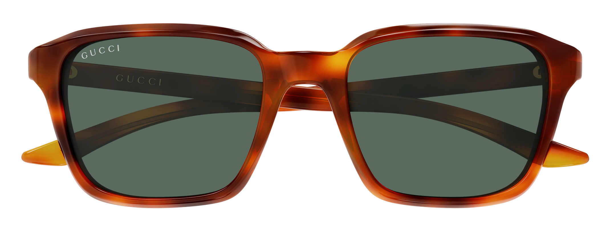 Color_GG2078S-005 - HAVANA - HAVANA - GREEN