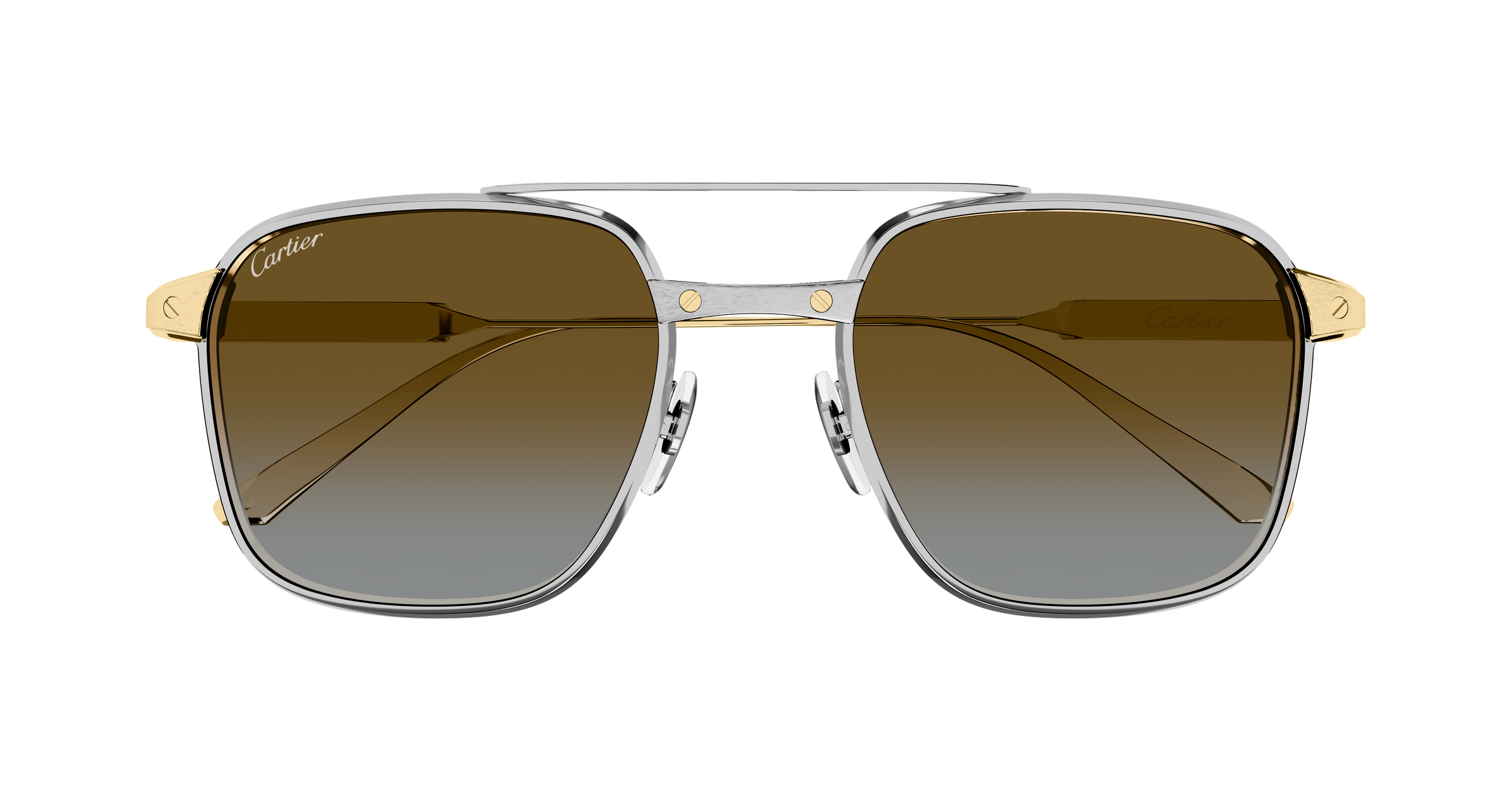 Color_CT0610S-003 - SILVER - GOLD - BROWN