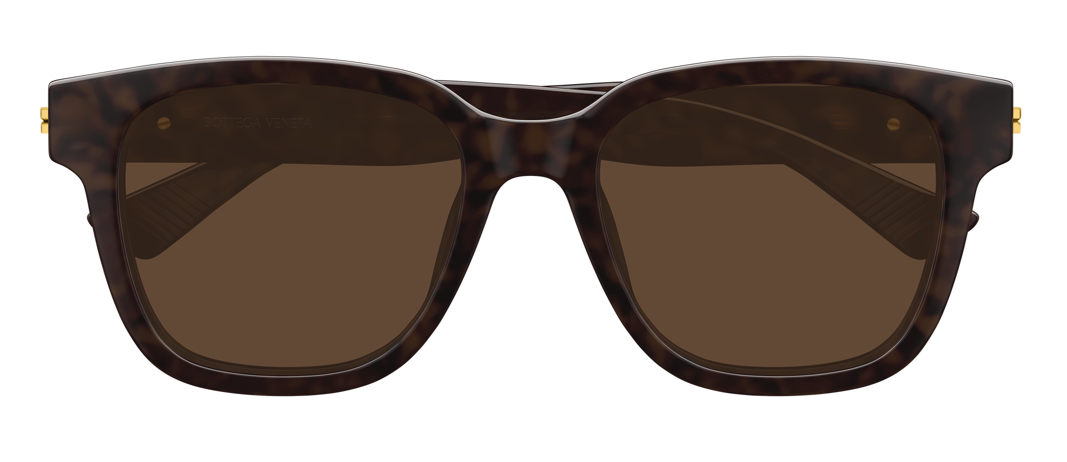 Color_BV1461SK-002 - HAVANA - HAVANA - BROWN