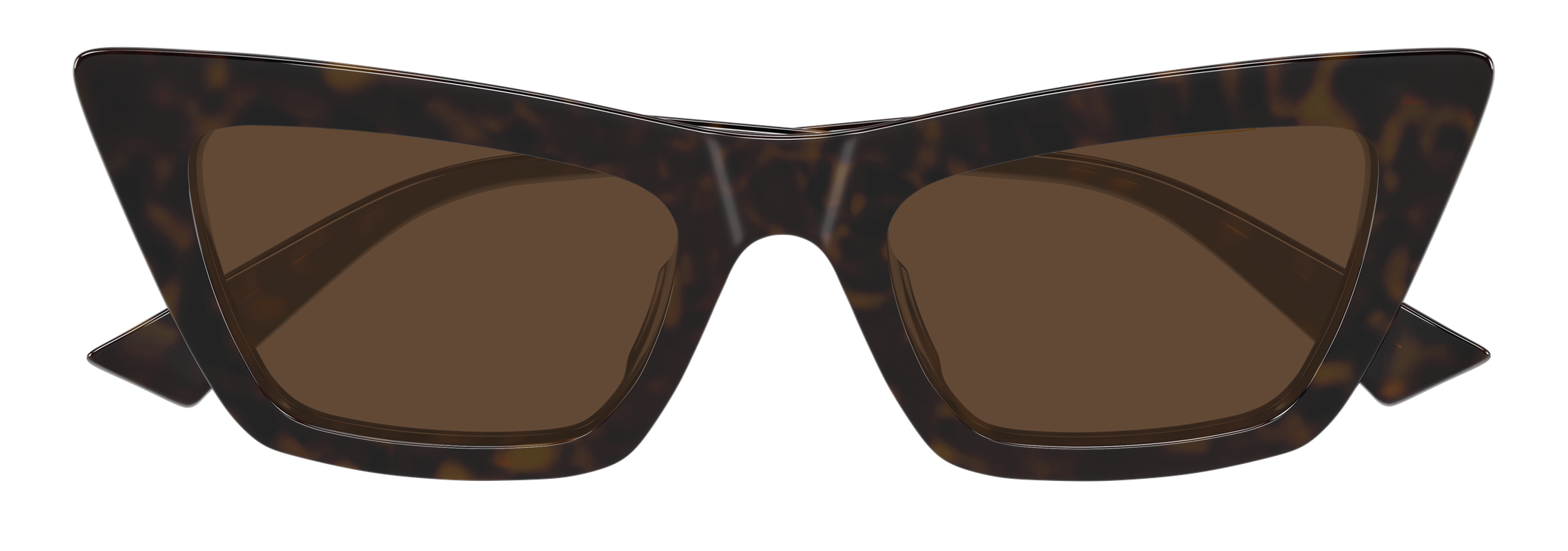 Color_BV1446S-002 - HAVANA - HAVANA - BROWN