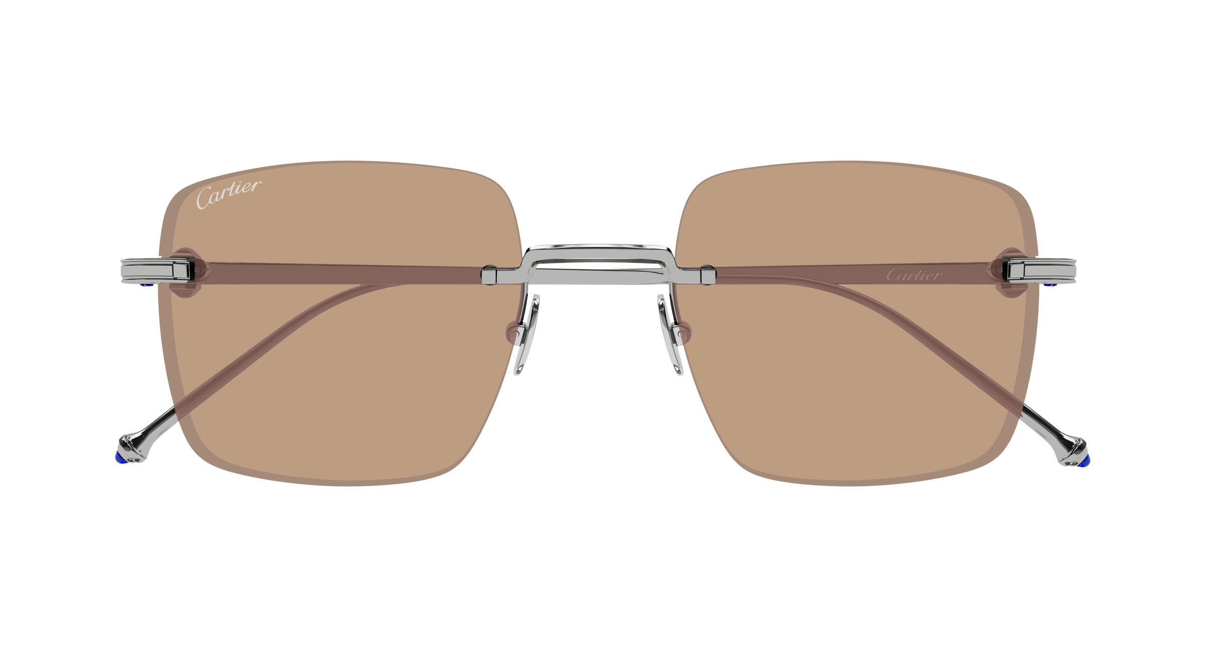Color_CT0403S-005 - GUTMETAL - BROWN