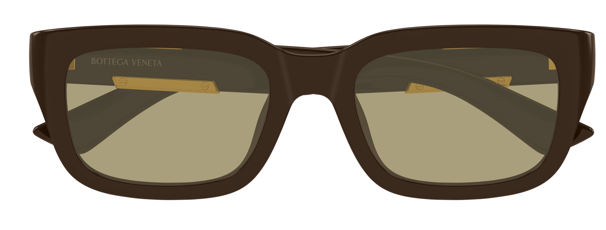 Color_BV1453SA-003 - BROWN - BROWN - BROWN