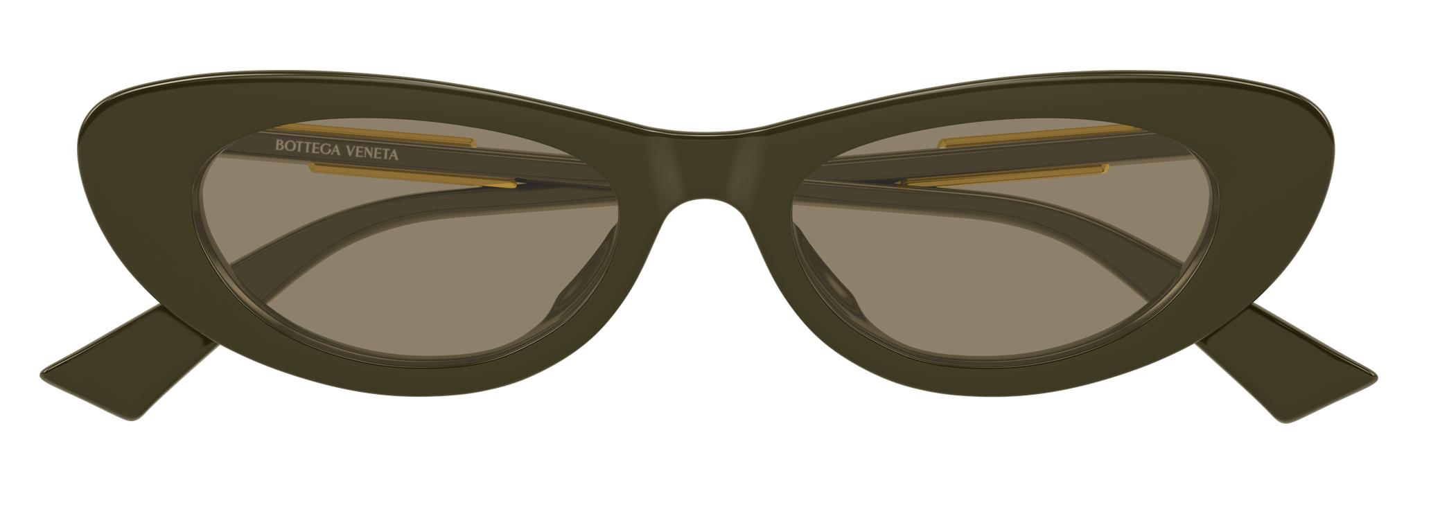 Color_BV1447S-004 - GREEN - GREEN - BROWN