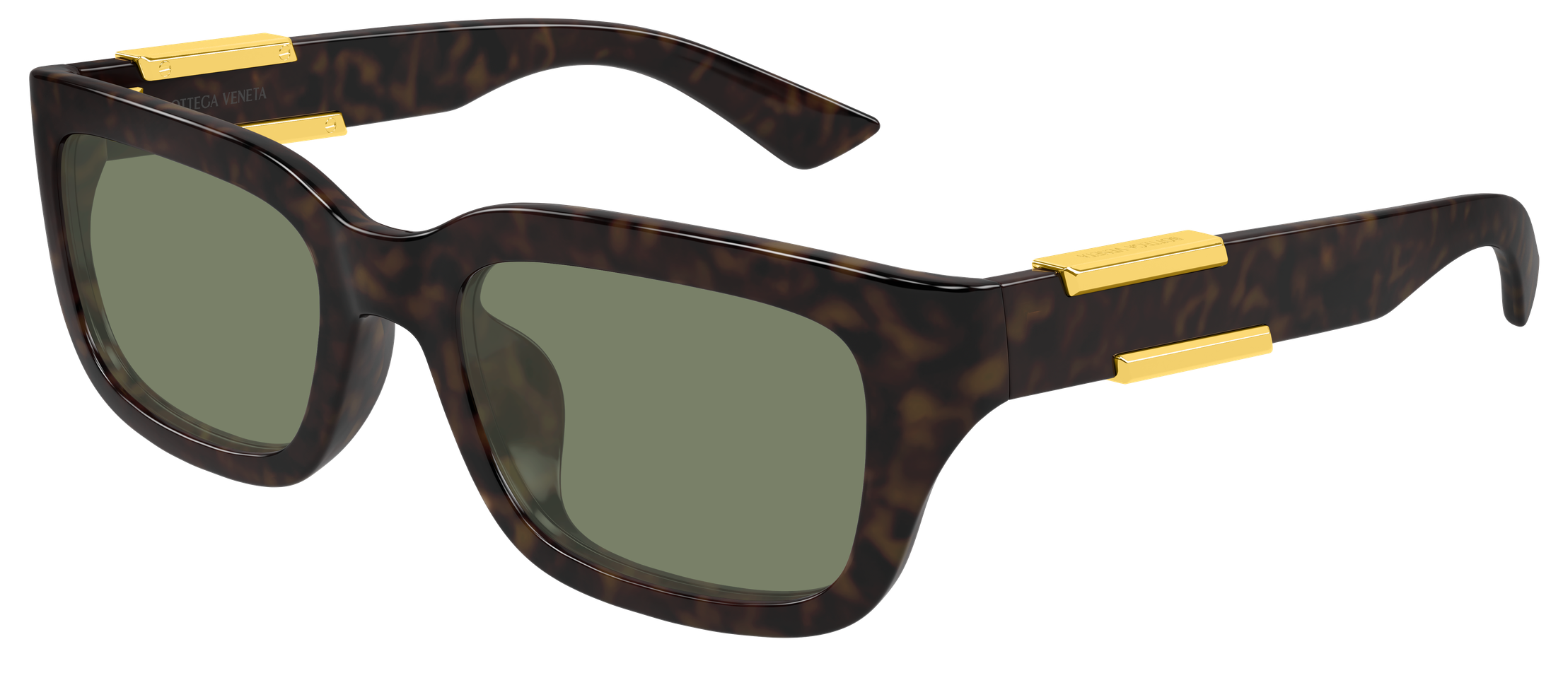 Color_BV1453SA-002 - HAVANA - HAVANA - GREEN