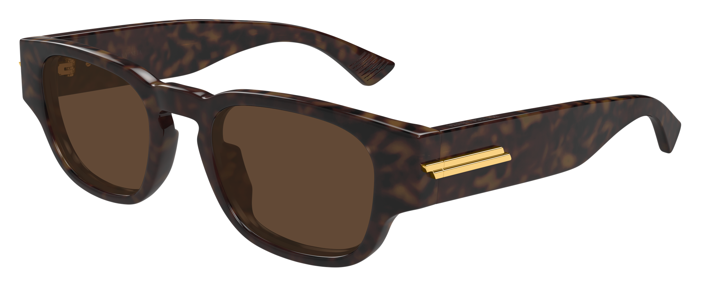 Color_BV1460S-002 - HAVANA - HAVANA - BROWN