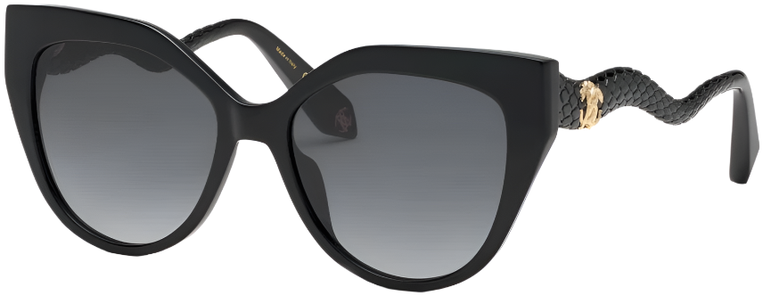 Color_0700 - SHINY BLACK / SMOKE GRADIENT