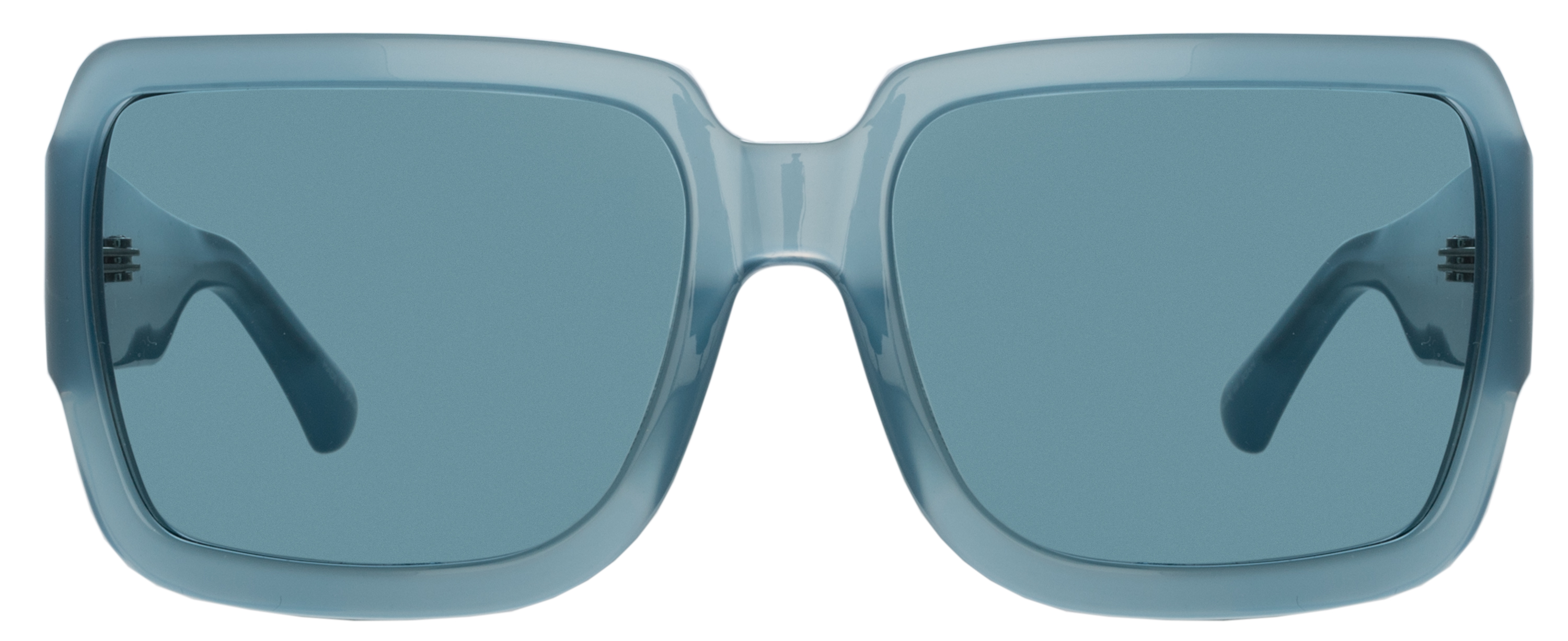 Color_DVN213C5SUN - Dries Van Noten 213 Oversized Sunglasses in Blue and Blue