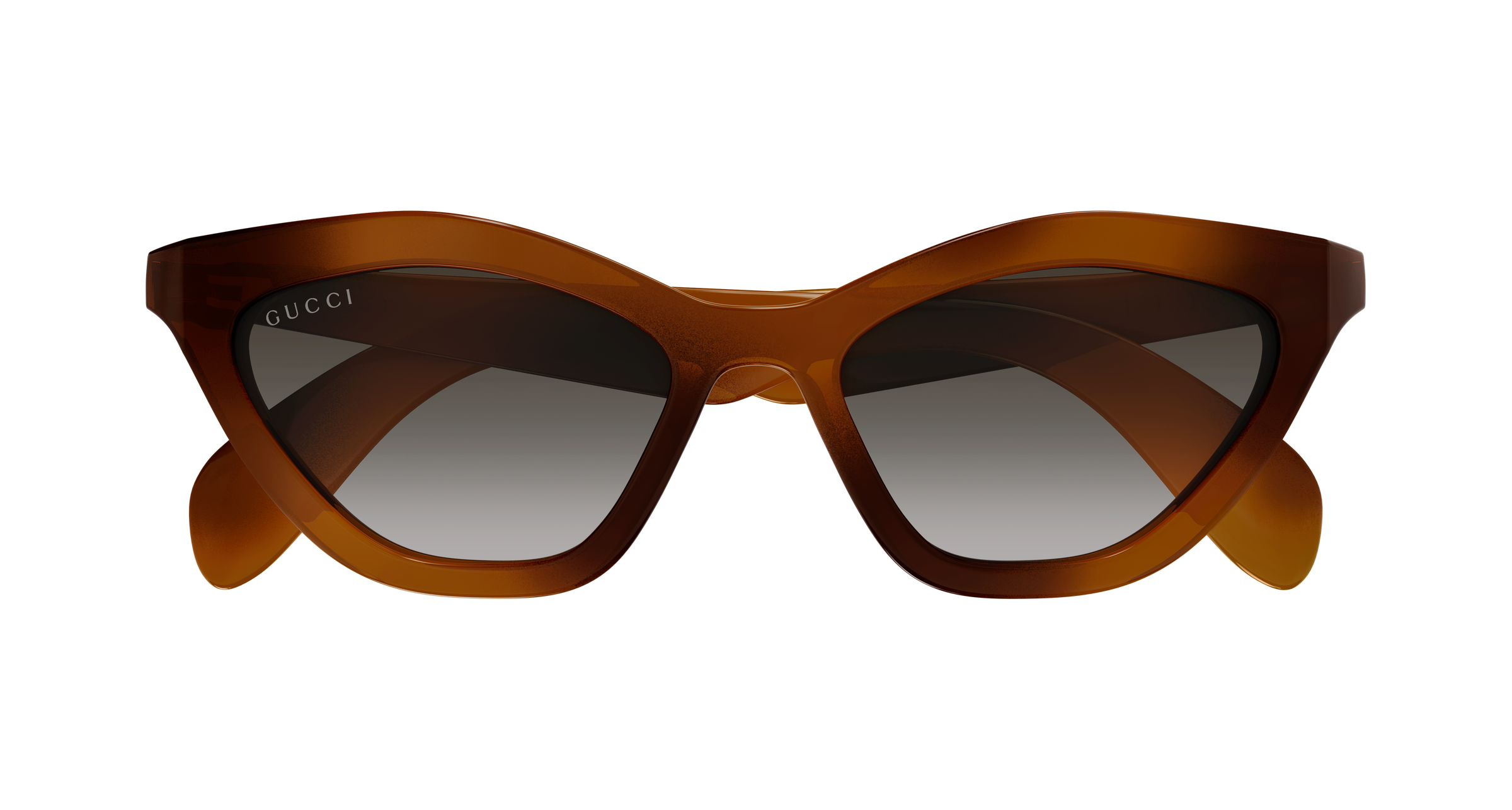 Color_GG1931S-003 - HAVANA - HAVANA / GREY