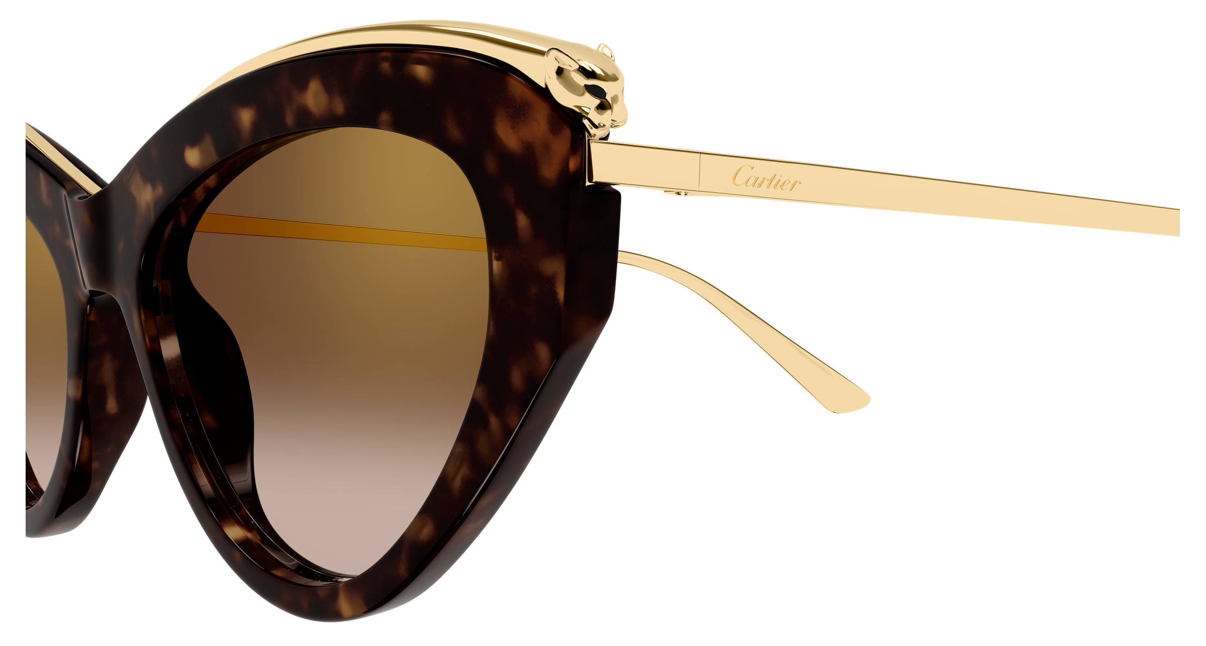 Color_CT0596S-002 - HAVANA - BROWN