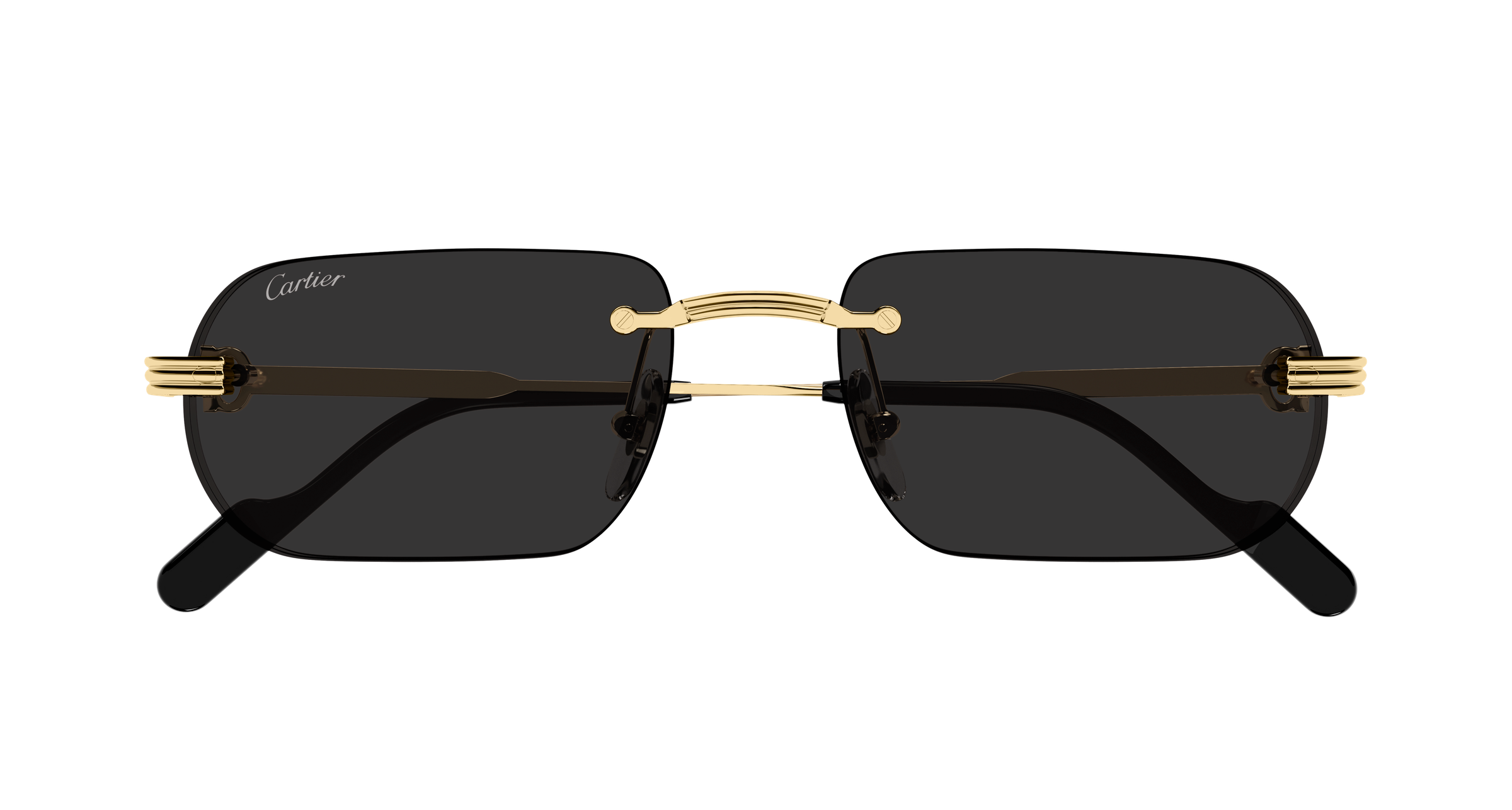 Color_CT0577S-001 - GOLD - GREY