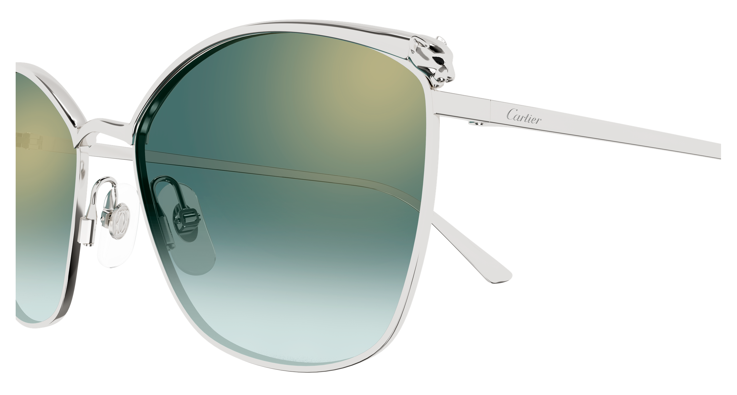 Color_CT0595S-003 - SILVER - GREEN