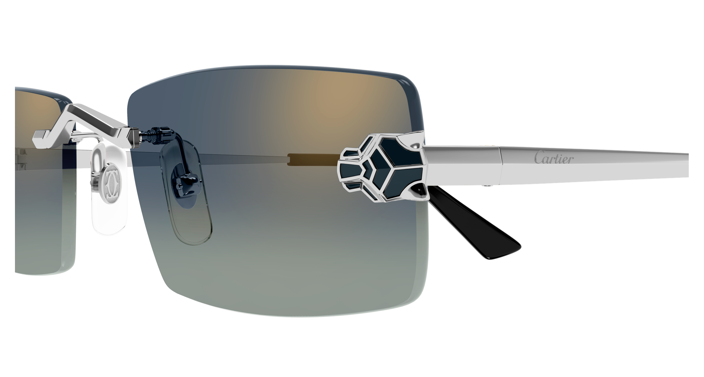 Color_CT0598S-003 - SILVER - BLUE