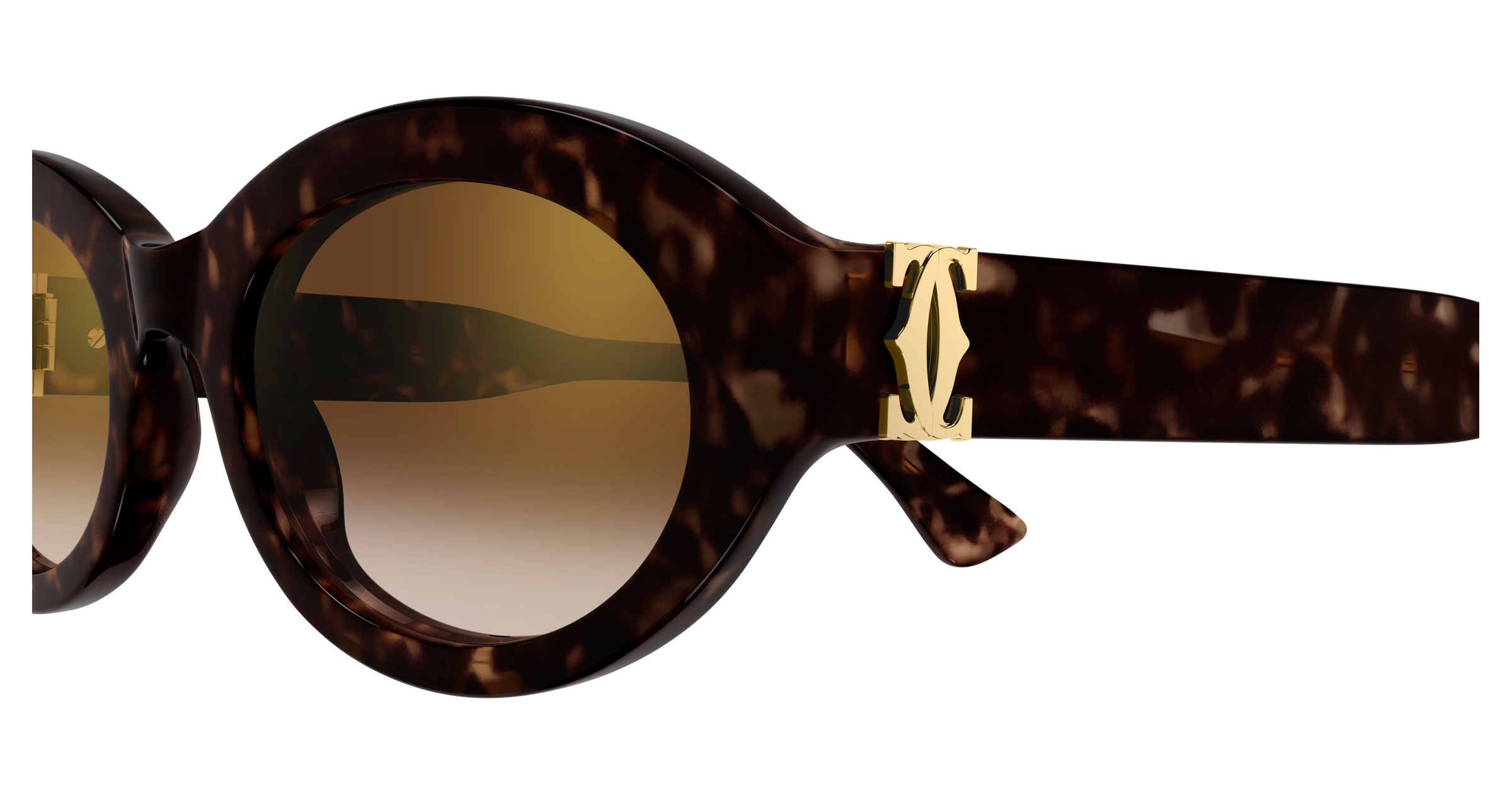 Color_CT0588S-002 - HAVANA - BROWN