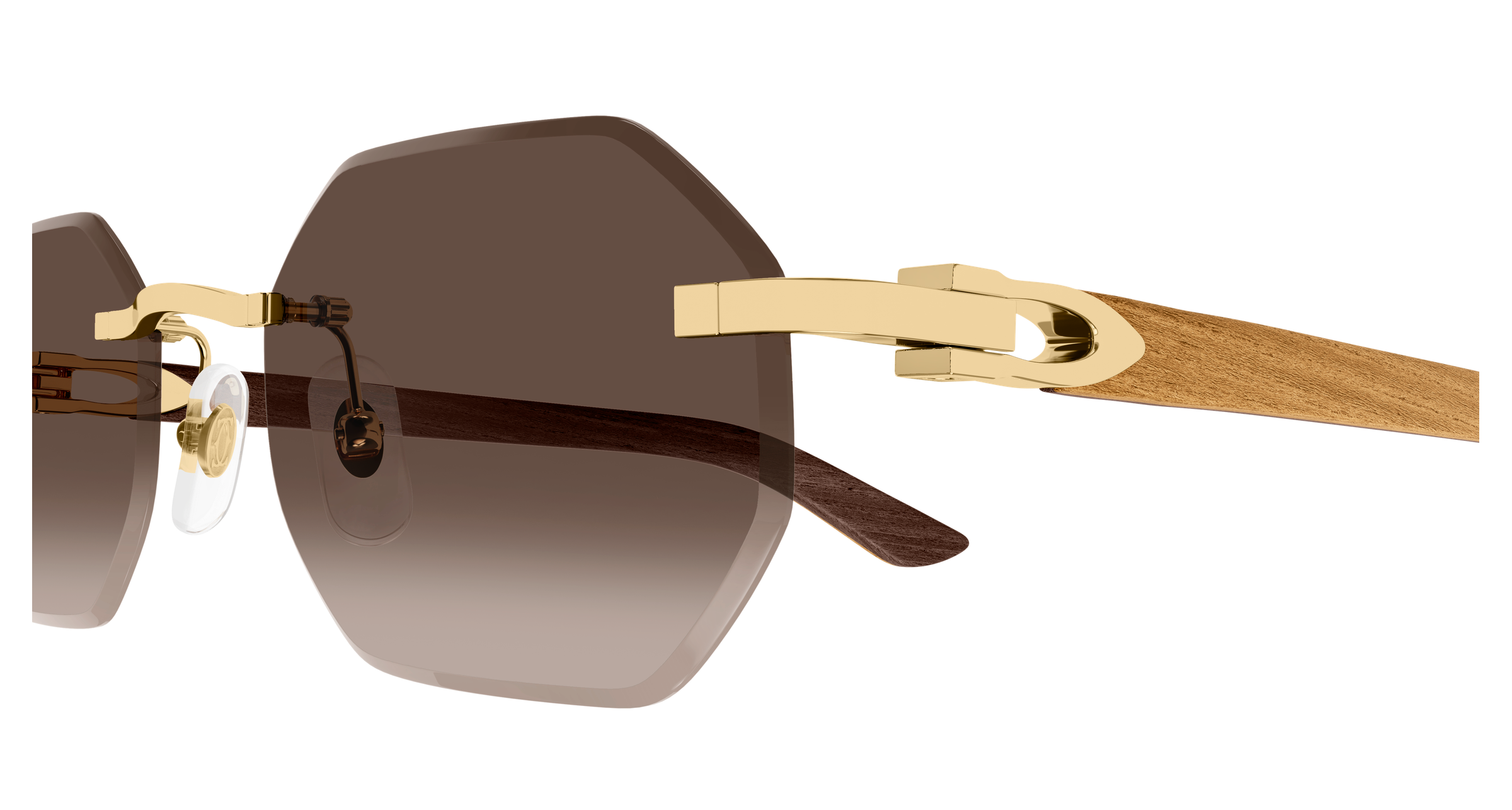 Color_CT0439S-006 - GOLD - BROWN