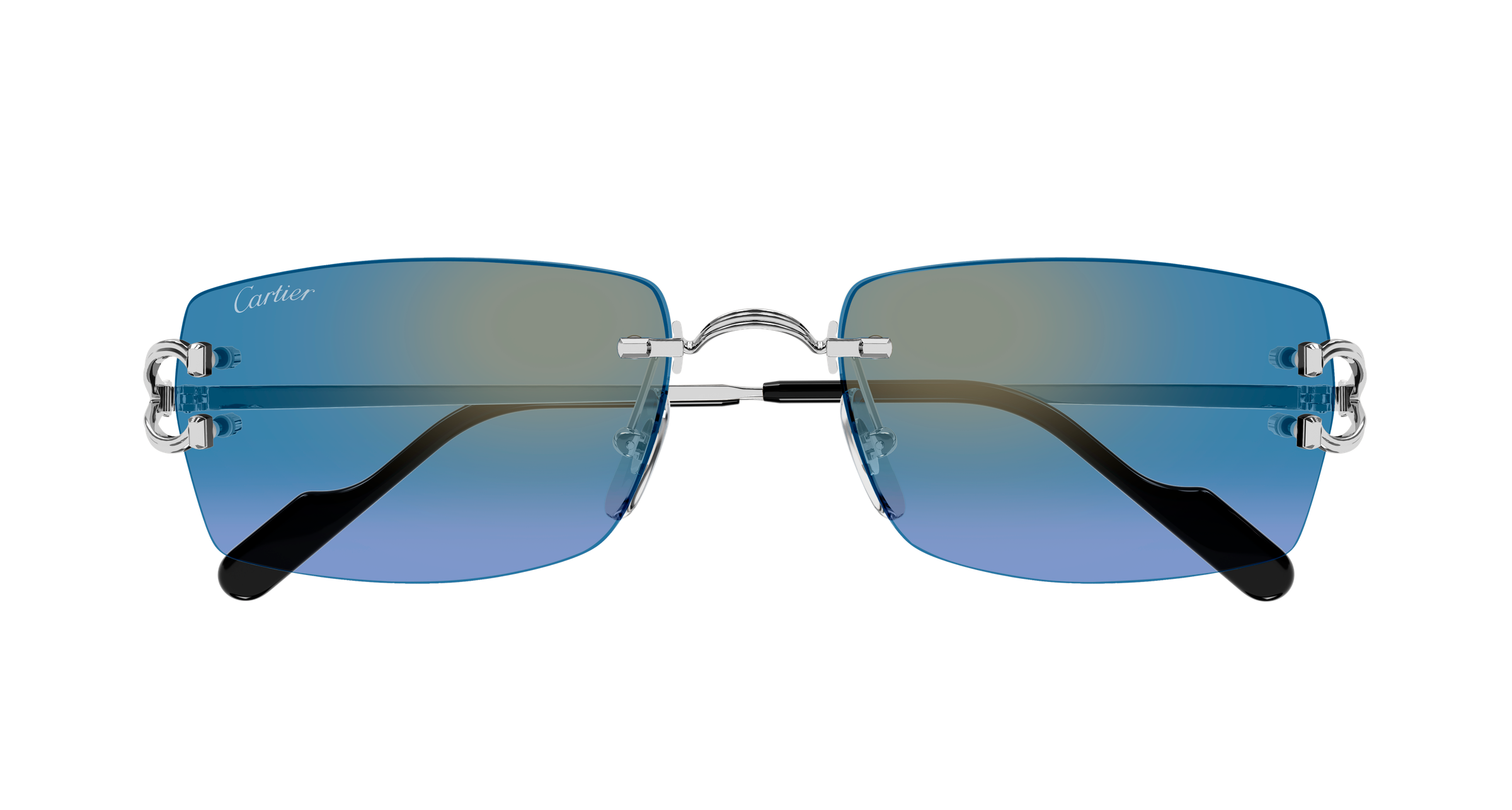 Color_CT0550S-007 - SILVER - BLUE