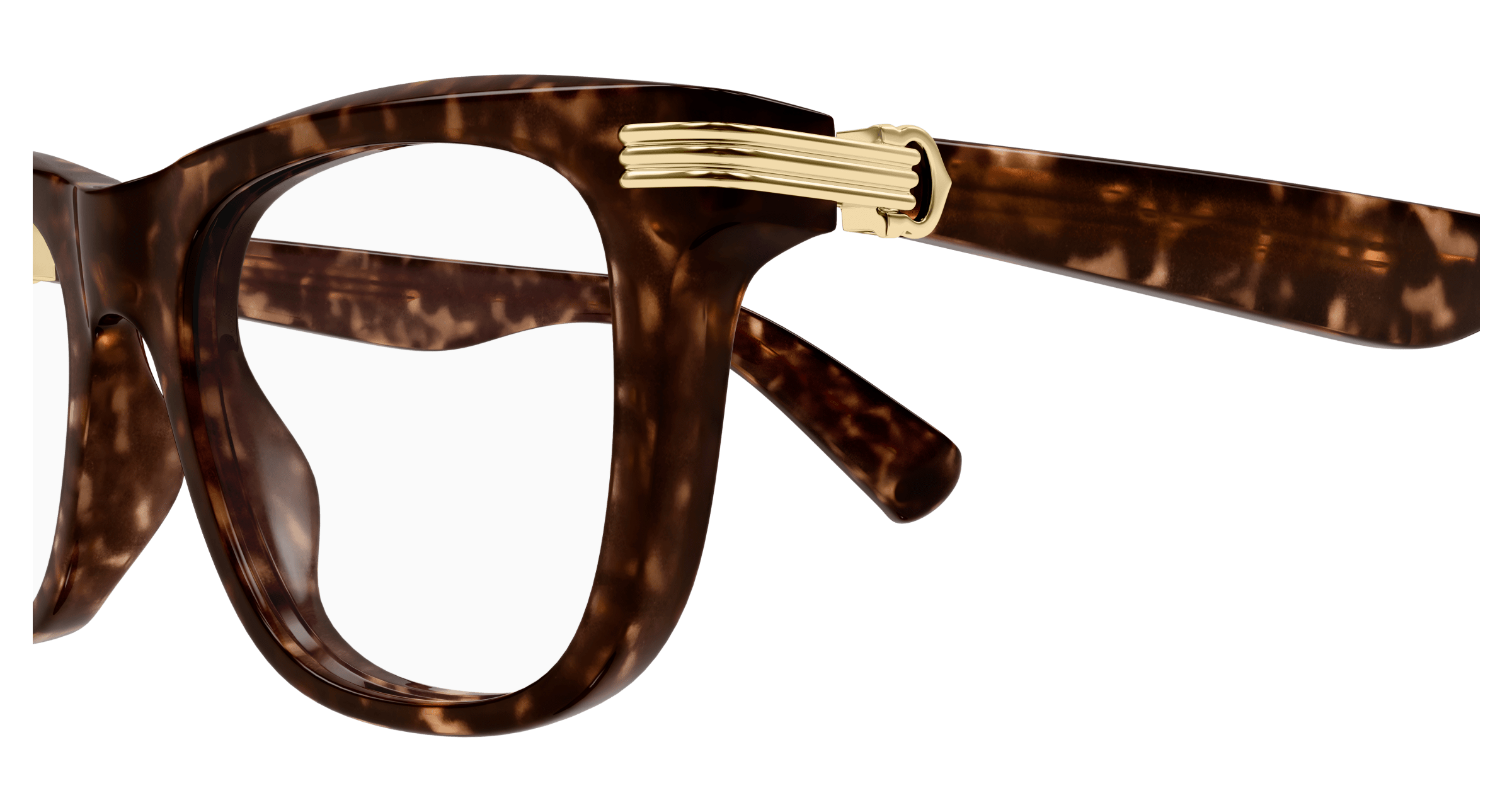 Color_CT0558O-007 - HAVANA - TRANSPARENT / SIZE: 53