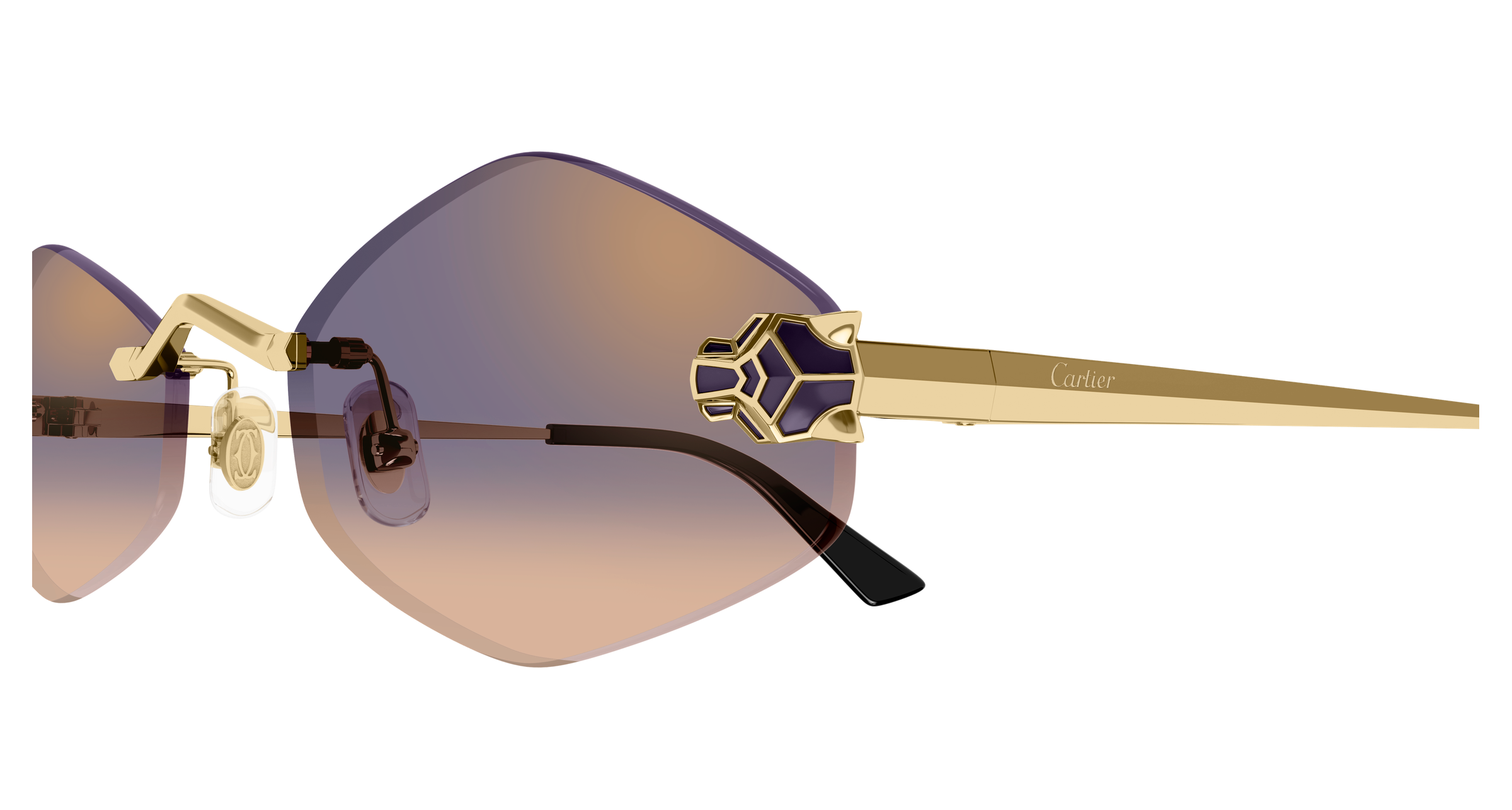 Color_CT0433S-005 - GOLD - VIOLET