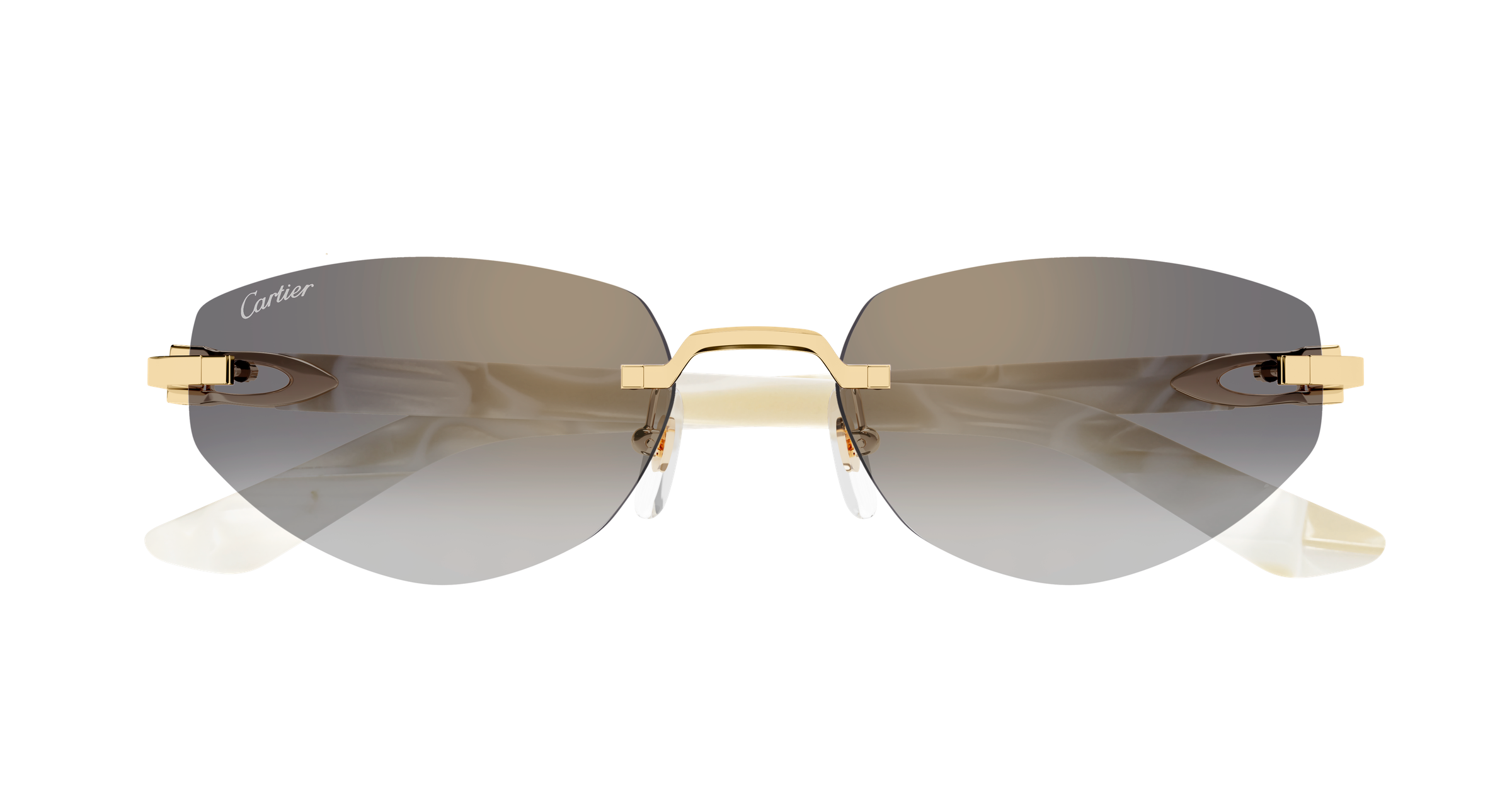 Color_CT0580S-003 - GOLD - GREY