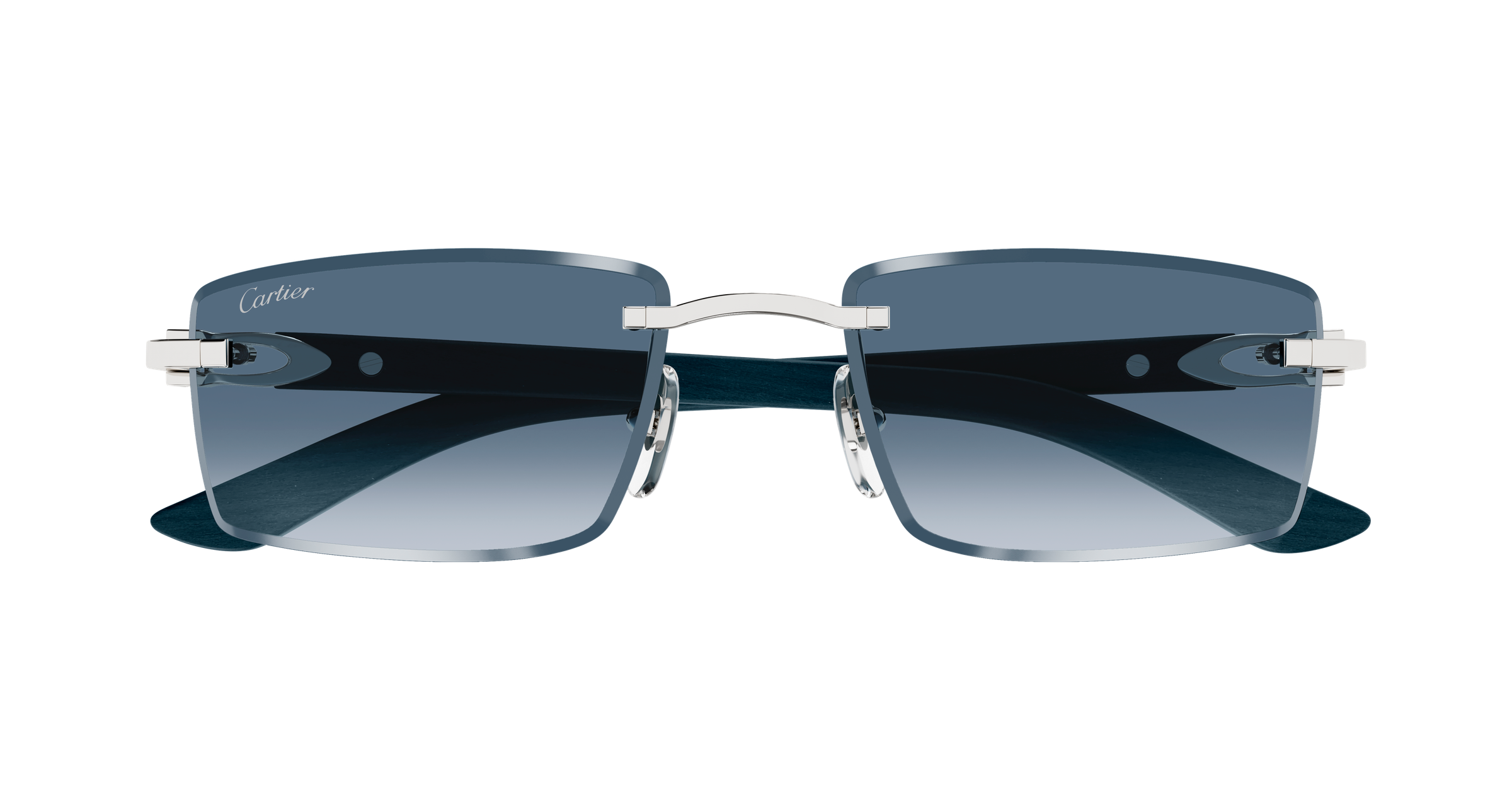 Color_CT0582S-004 - SILVER - BLUE