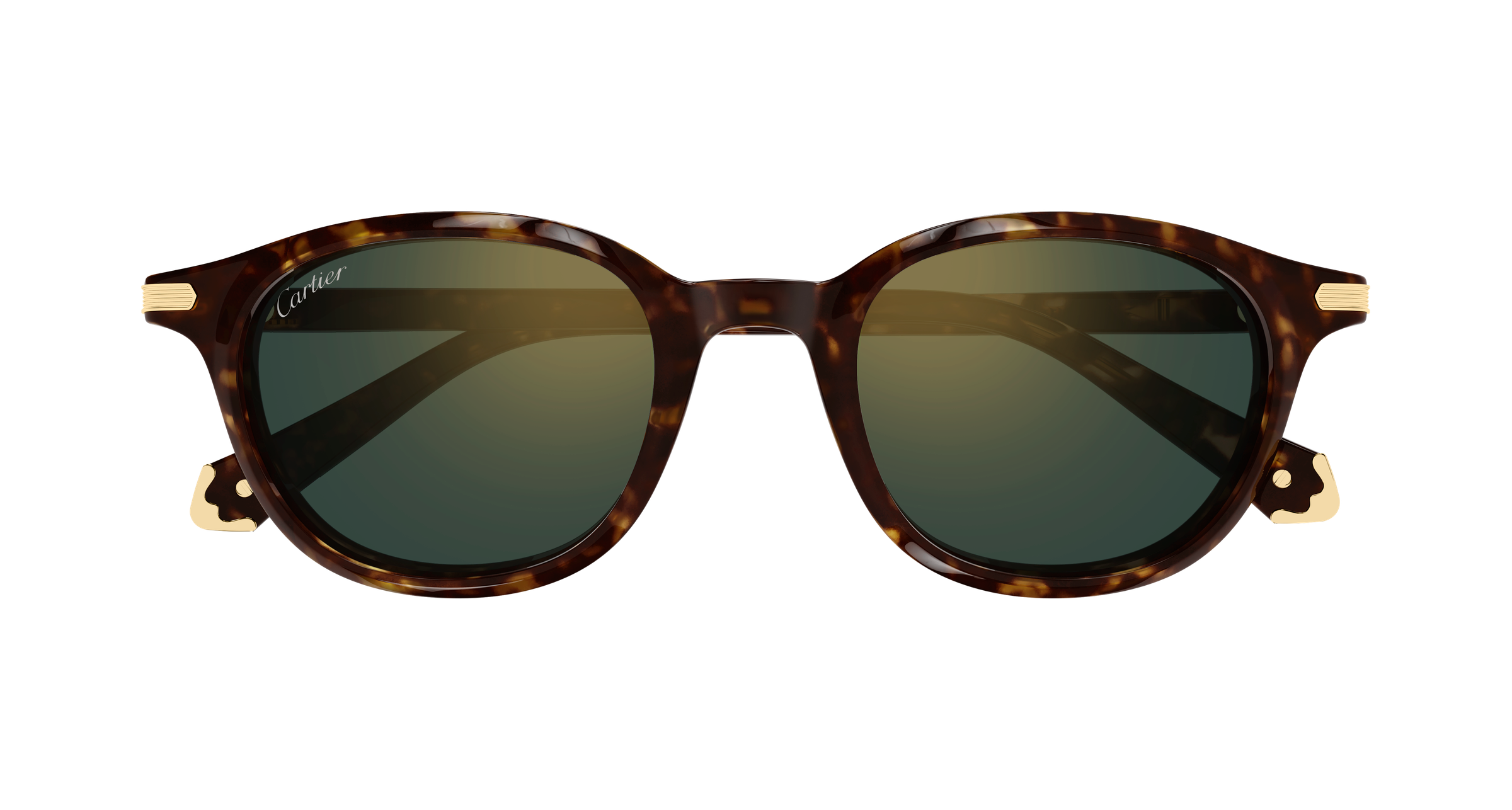 Color_CT0584S-002 - HAVANA - GREEN