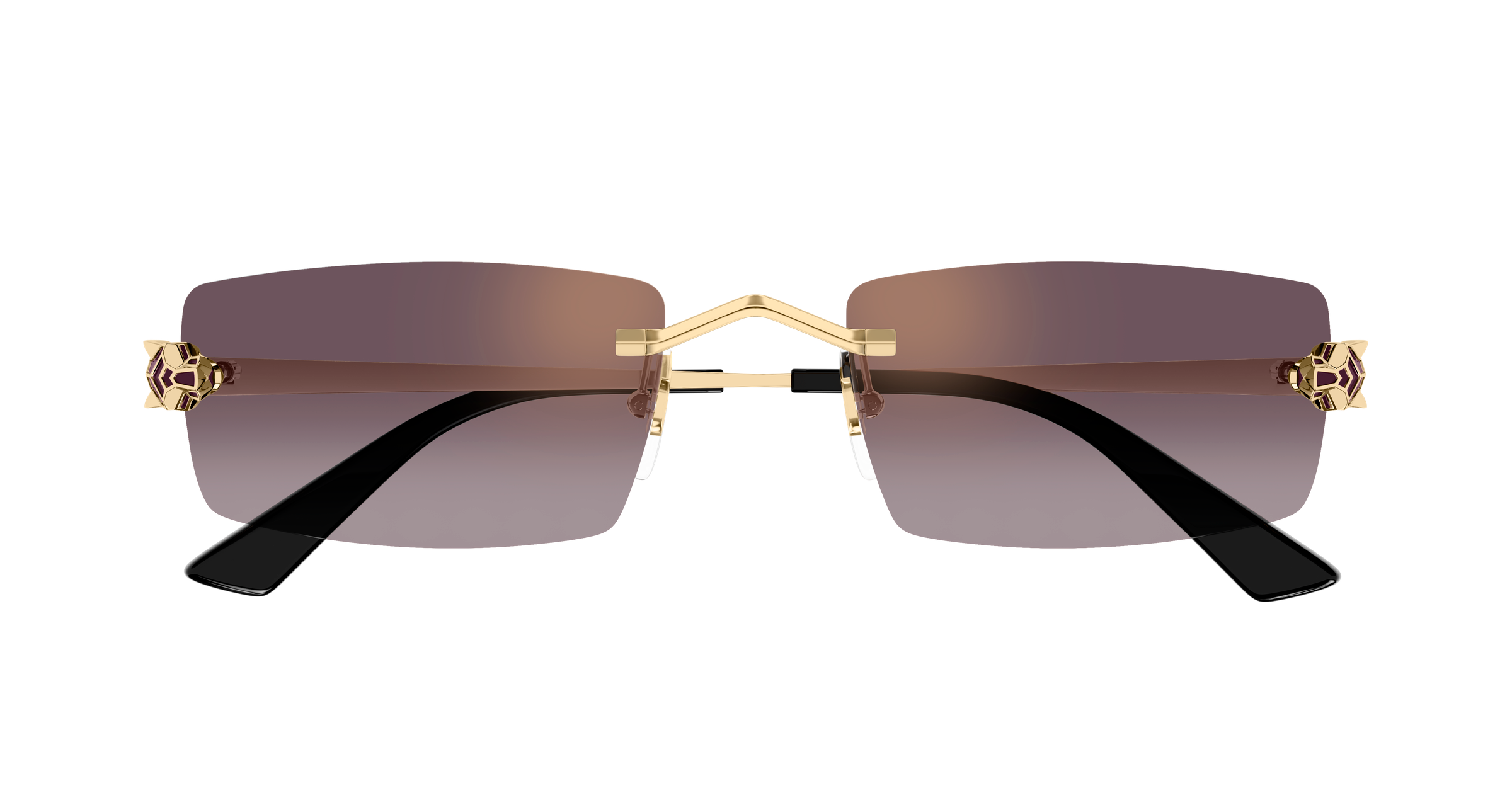 Color_CT0598S-005 - GOLD - VIOLET