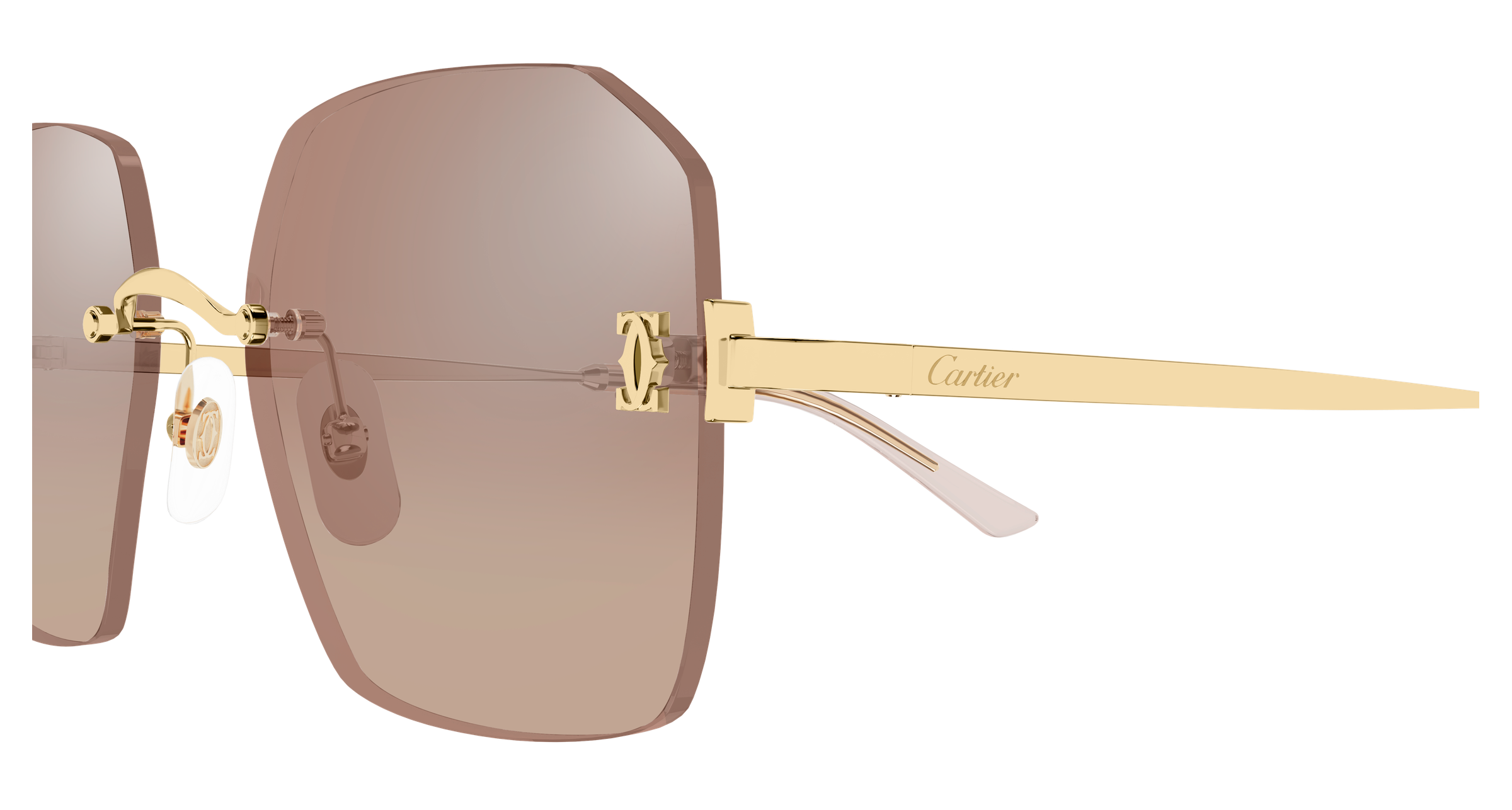 Color_CT0591S-003 - GOLD - BROWN