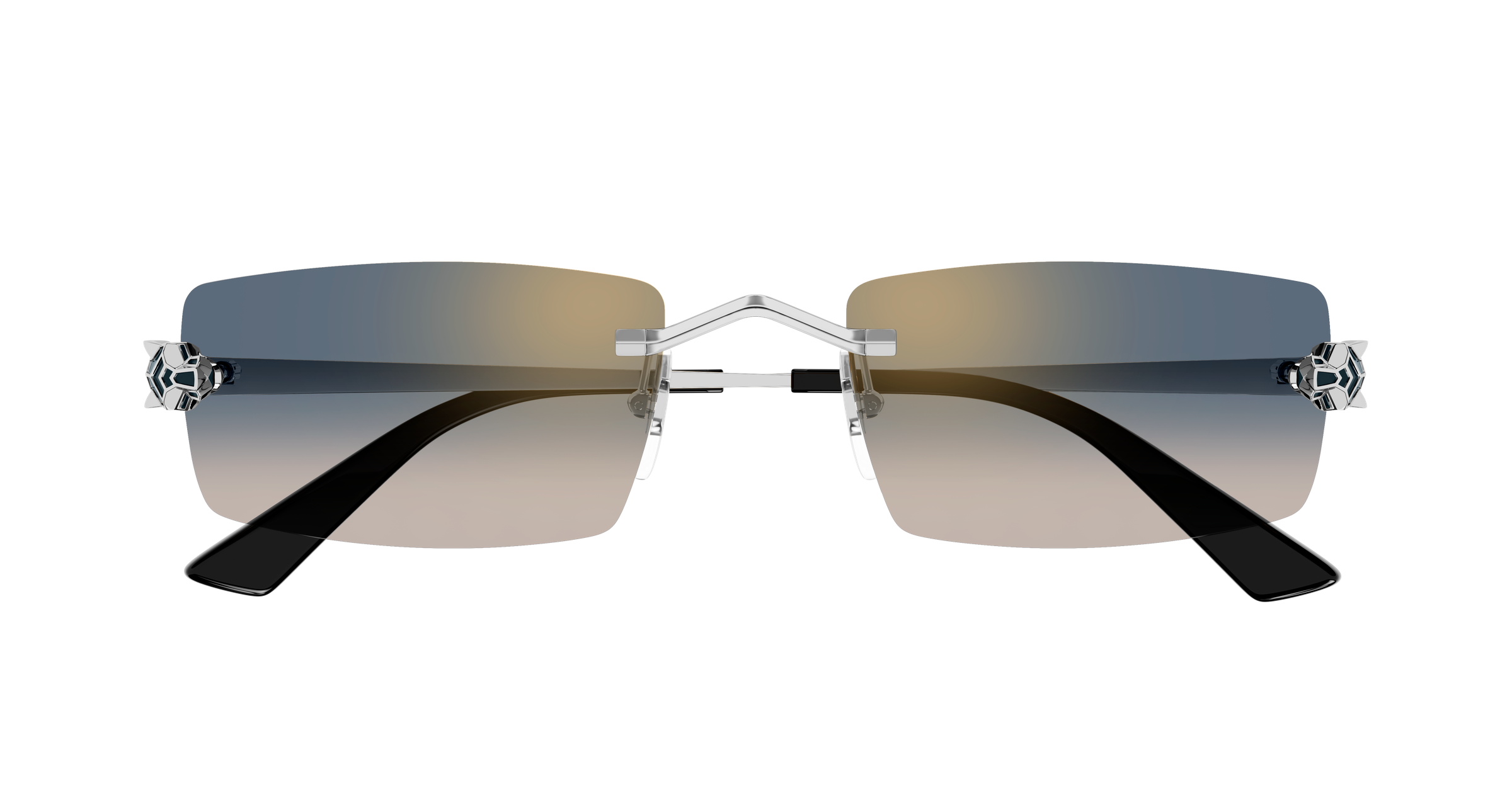 Color_CT0598S-002 - SILVER - GREY