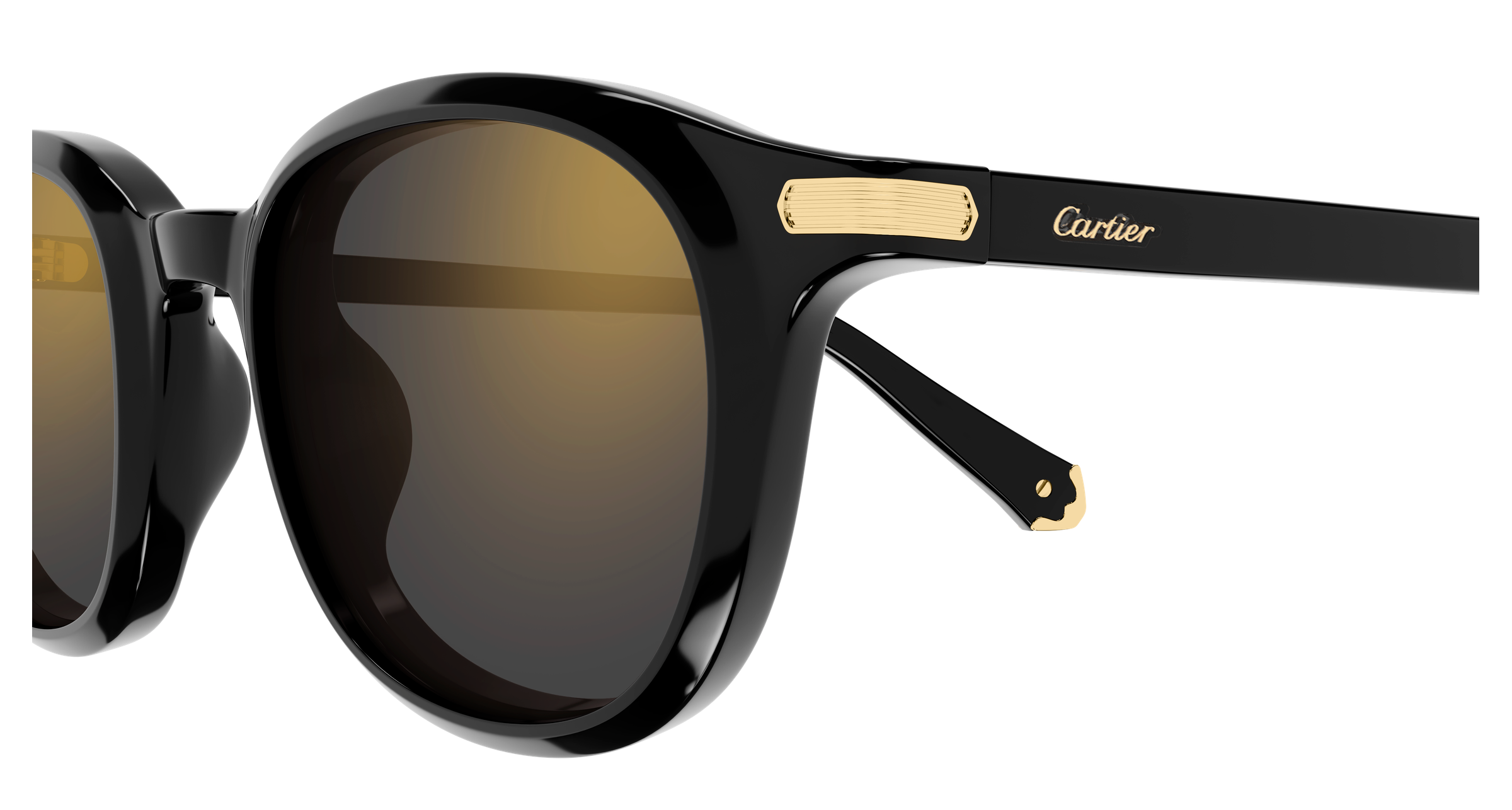 Color_CT0584S-001 - BLACK - GREY