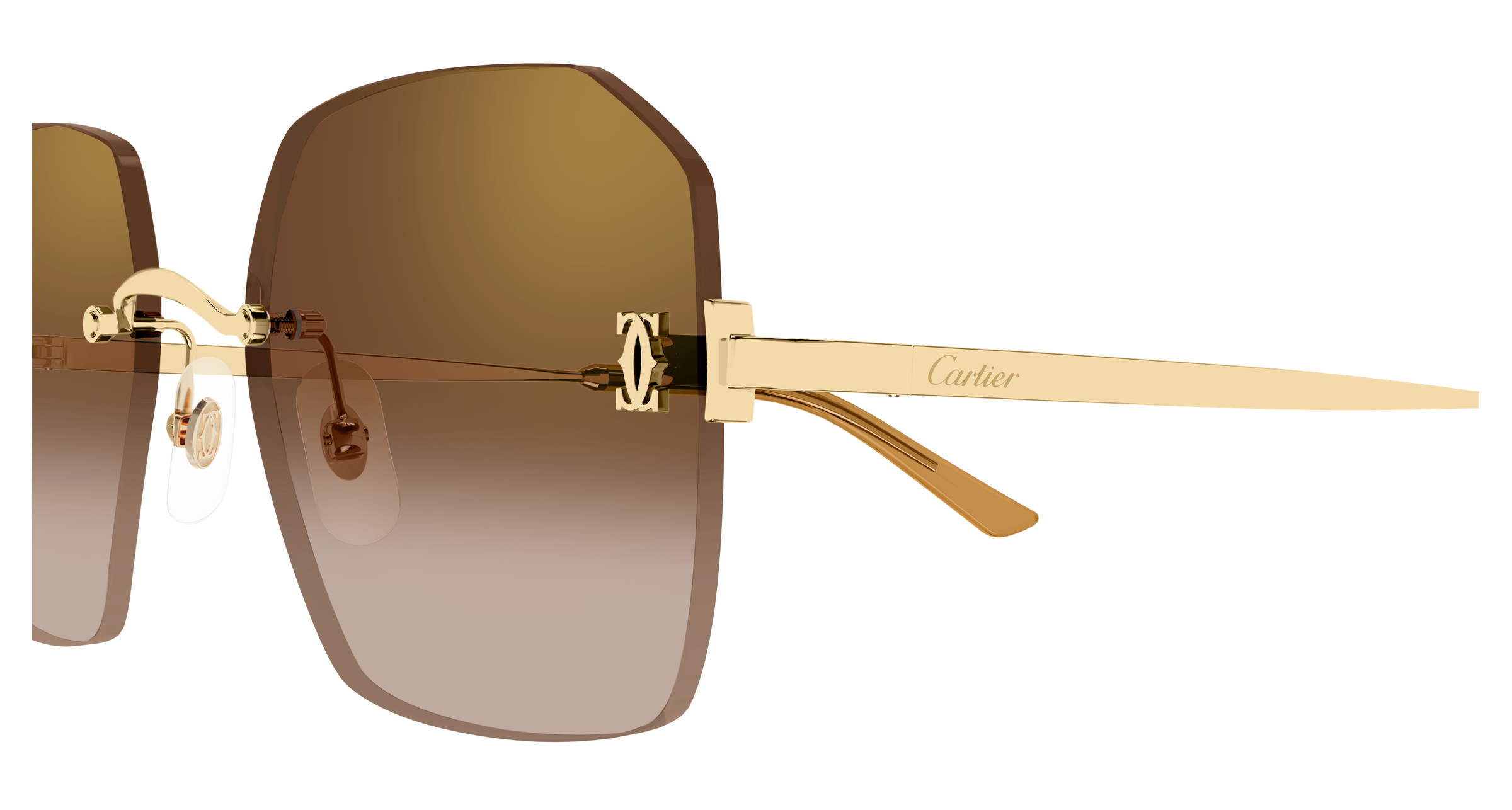 Color_CT0591S-002 - GOLD - BROWN