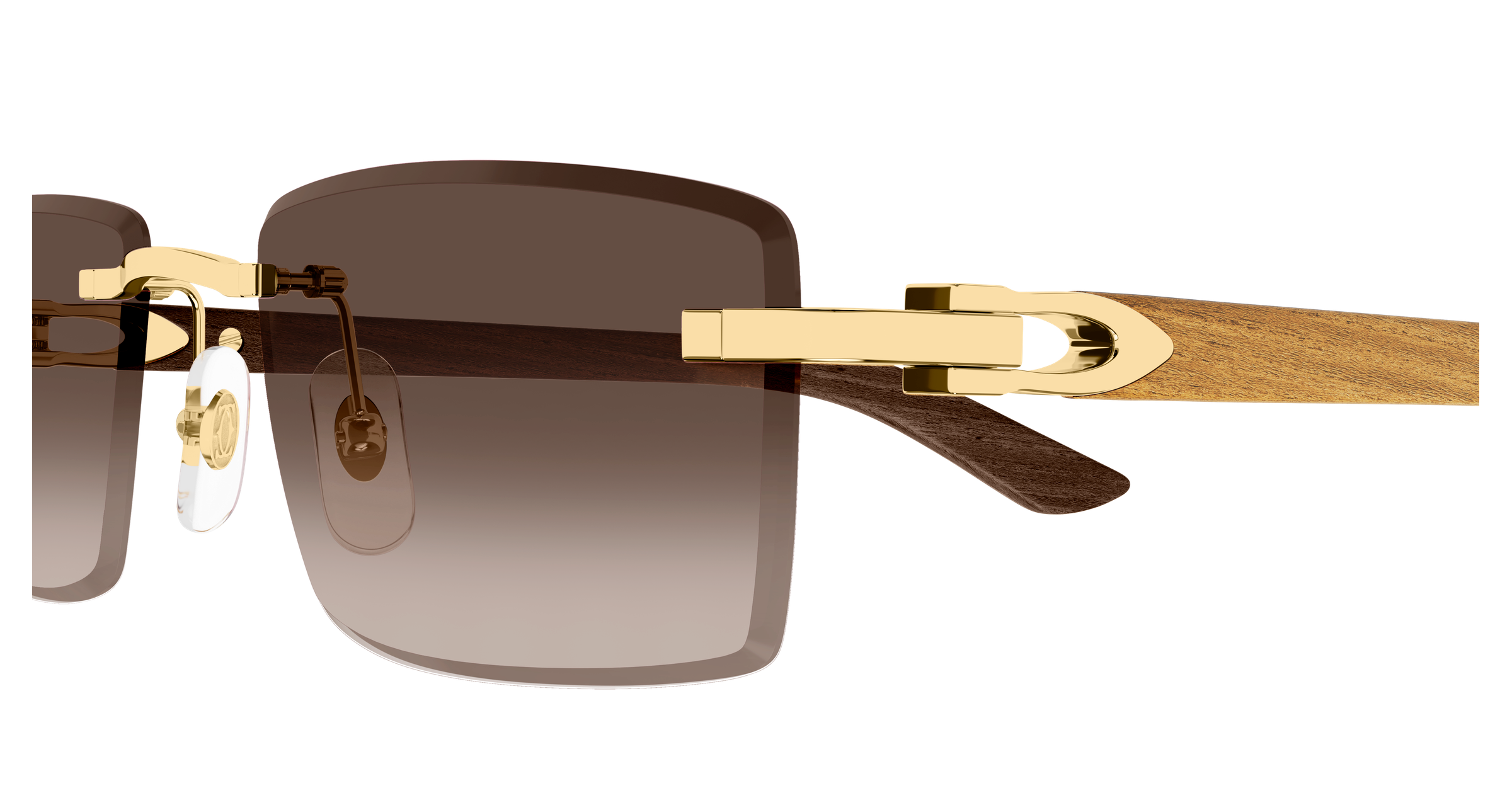 Color_CT0582S-003 - GOLD - BROWN