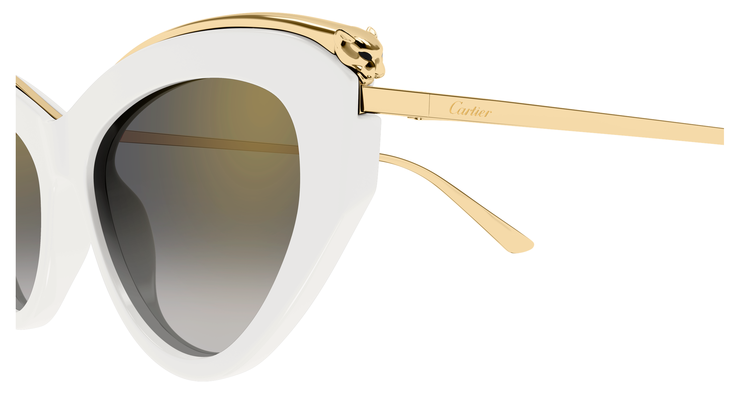 Color_CT0596S-005 - WHITE - GREY