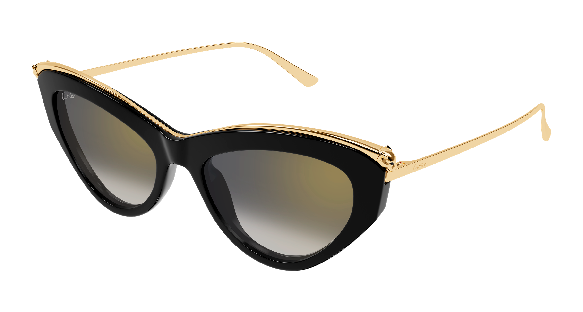 Color_CT0596S-001 - BLACK - GREY