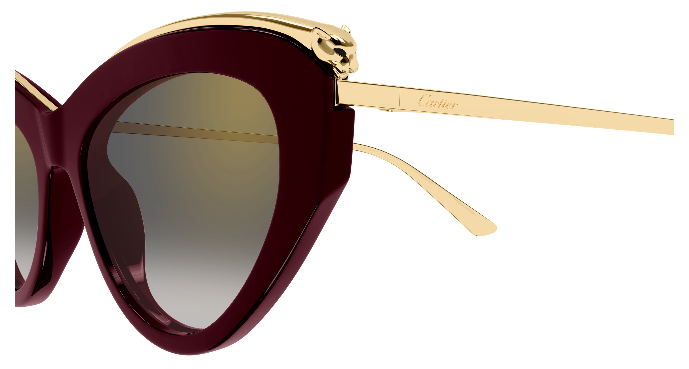 Color_CT0596S-004 - BURGUNDY - GREY