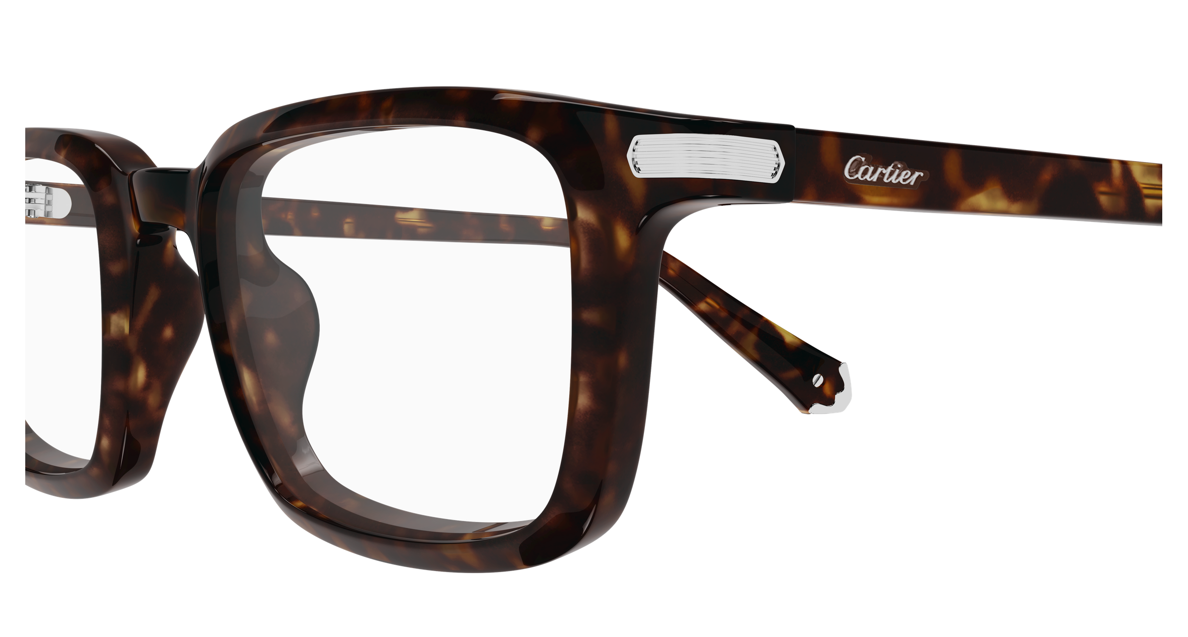 Color_CT0586O-002 - HAVANA - TRANSPARENT / SIZE: 51mm - 19mm - 145mm