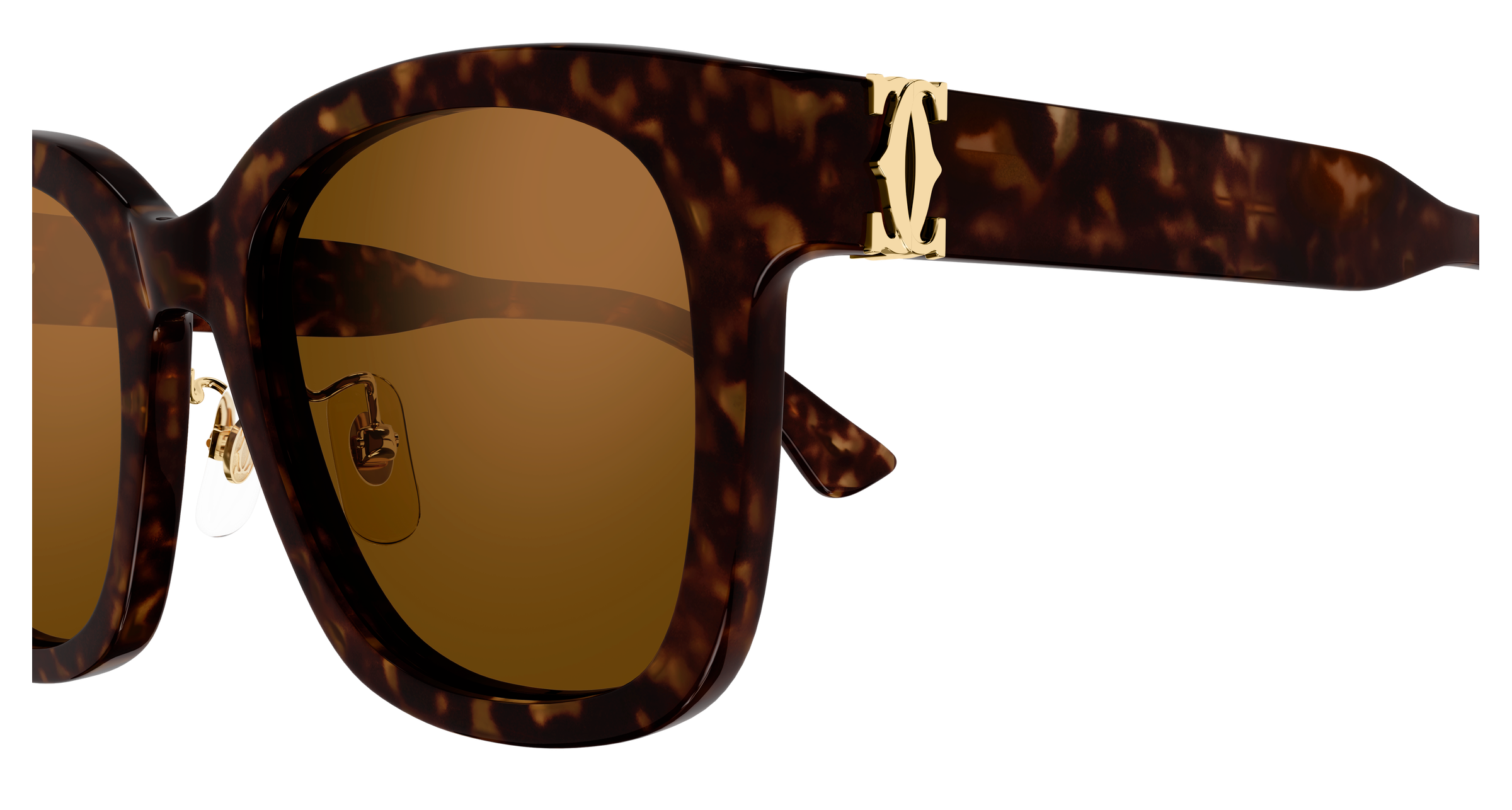 Color_CT0589SA-002 - HAVANA - BROWN