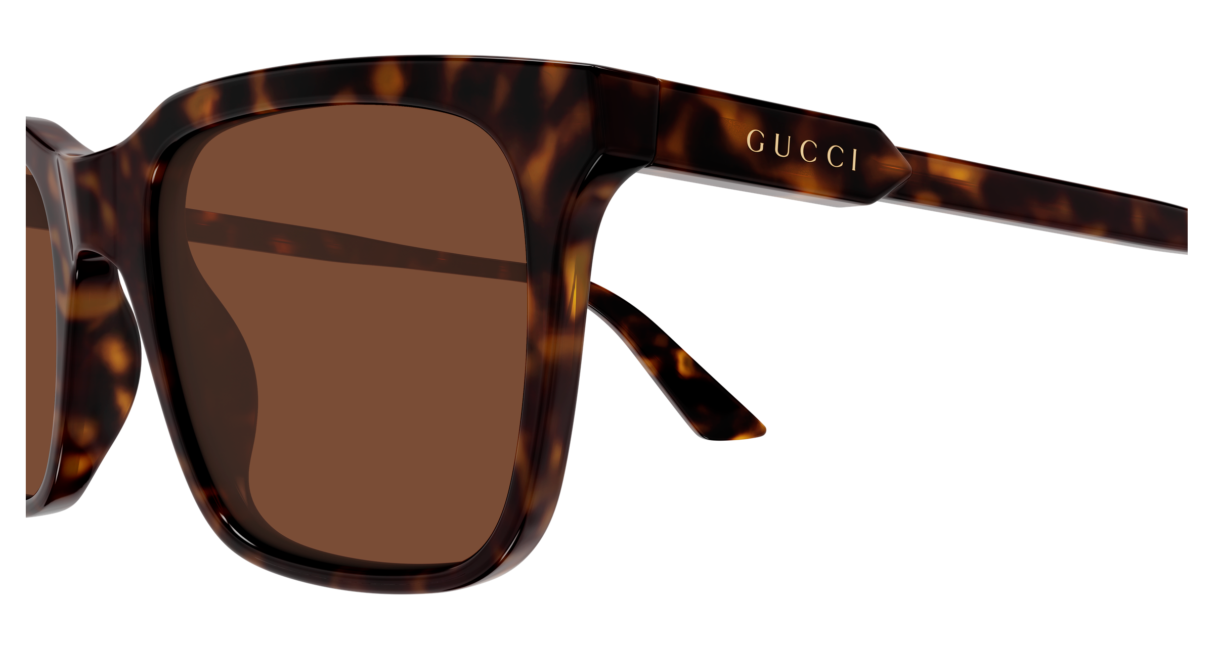 Color_GG2114S-002 - Havana - Havana - Brown